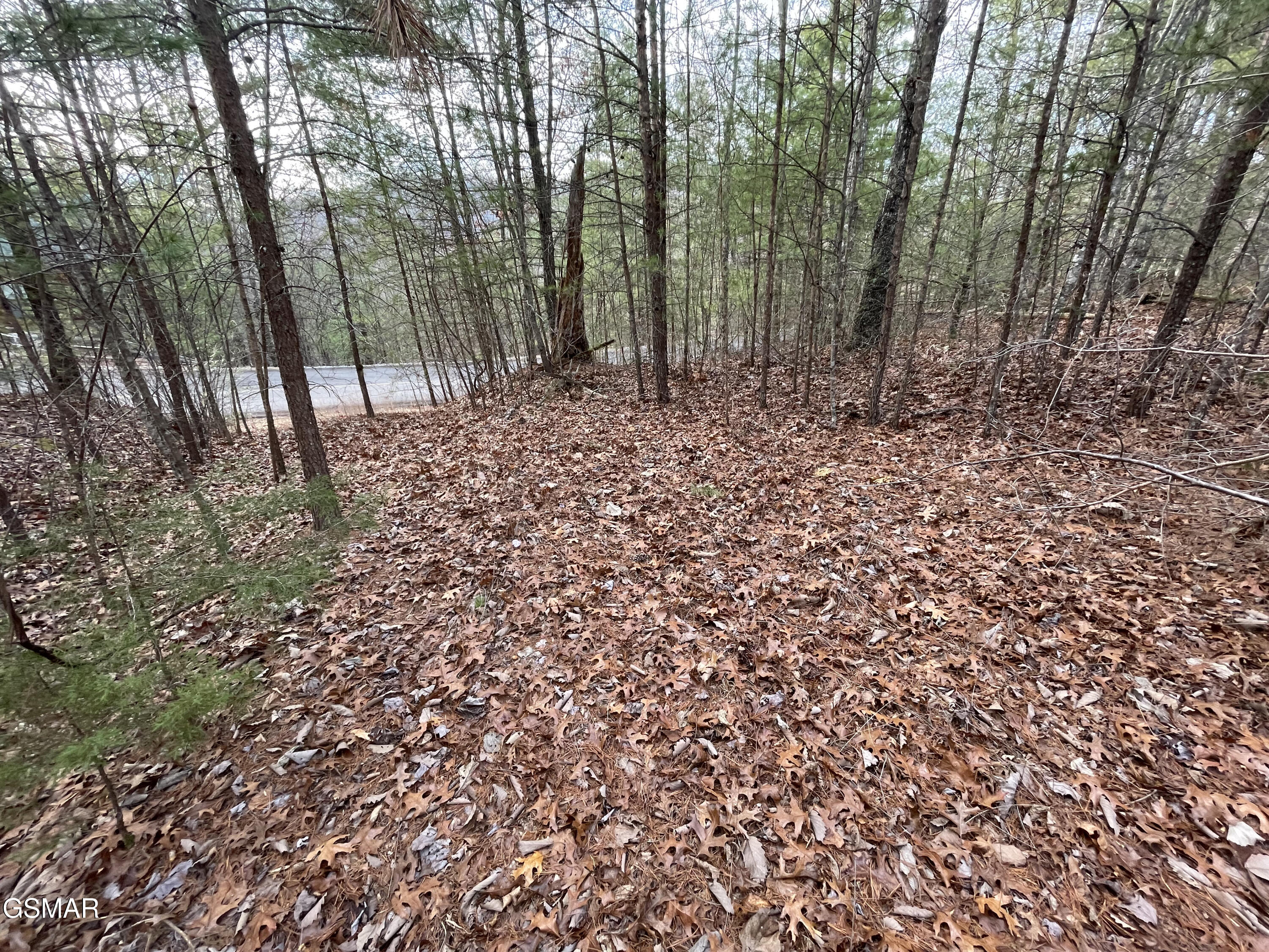 Lot 79 Whetstone Road Sevierville TN 37862