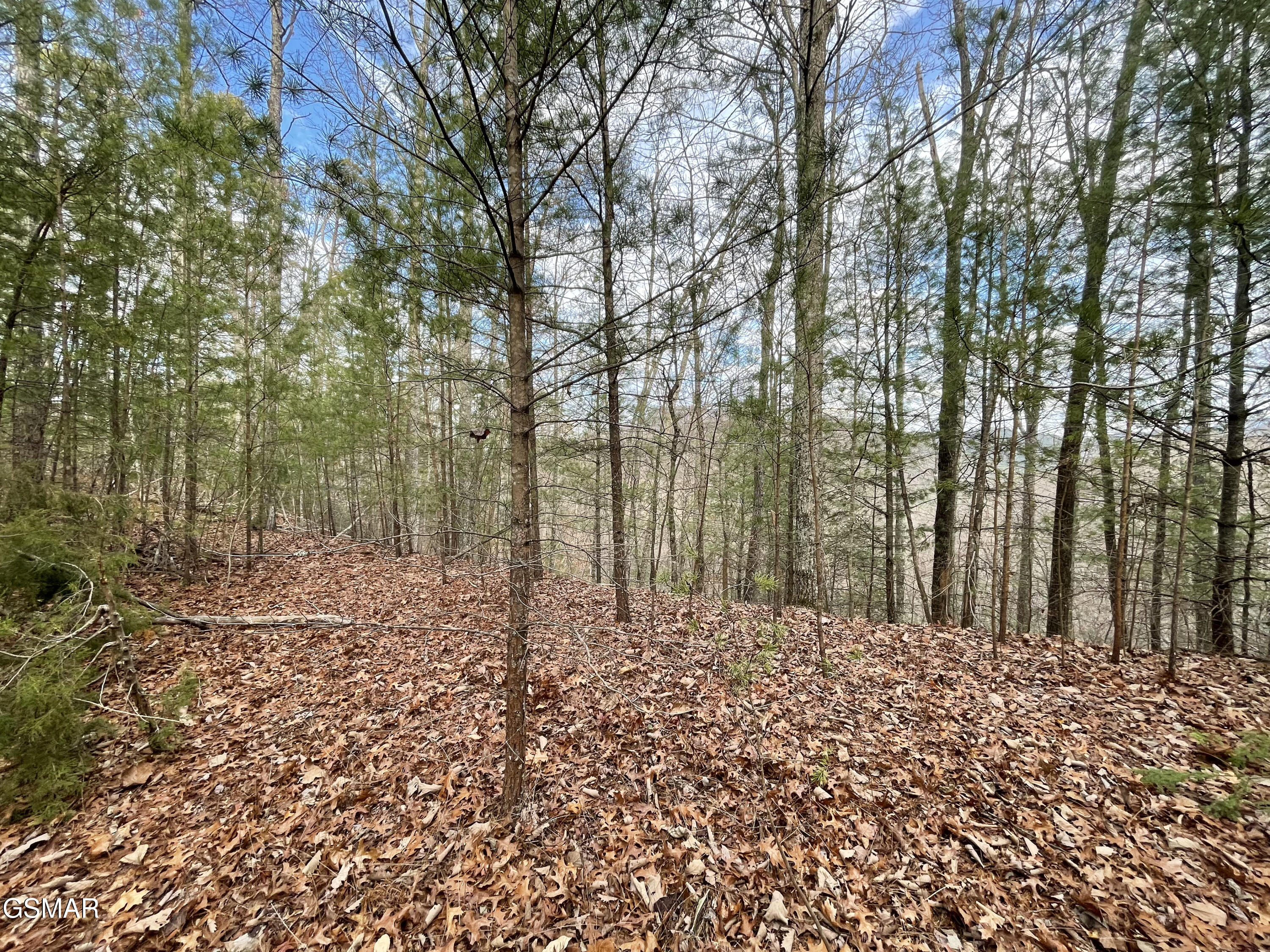 Lot 79 Whetstone Road Sevierville TN 37862