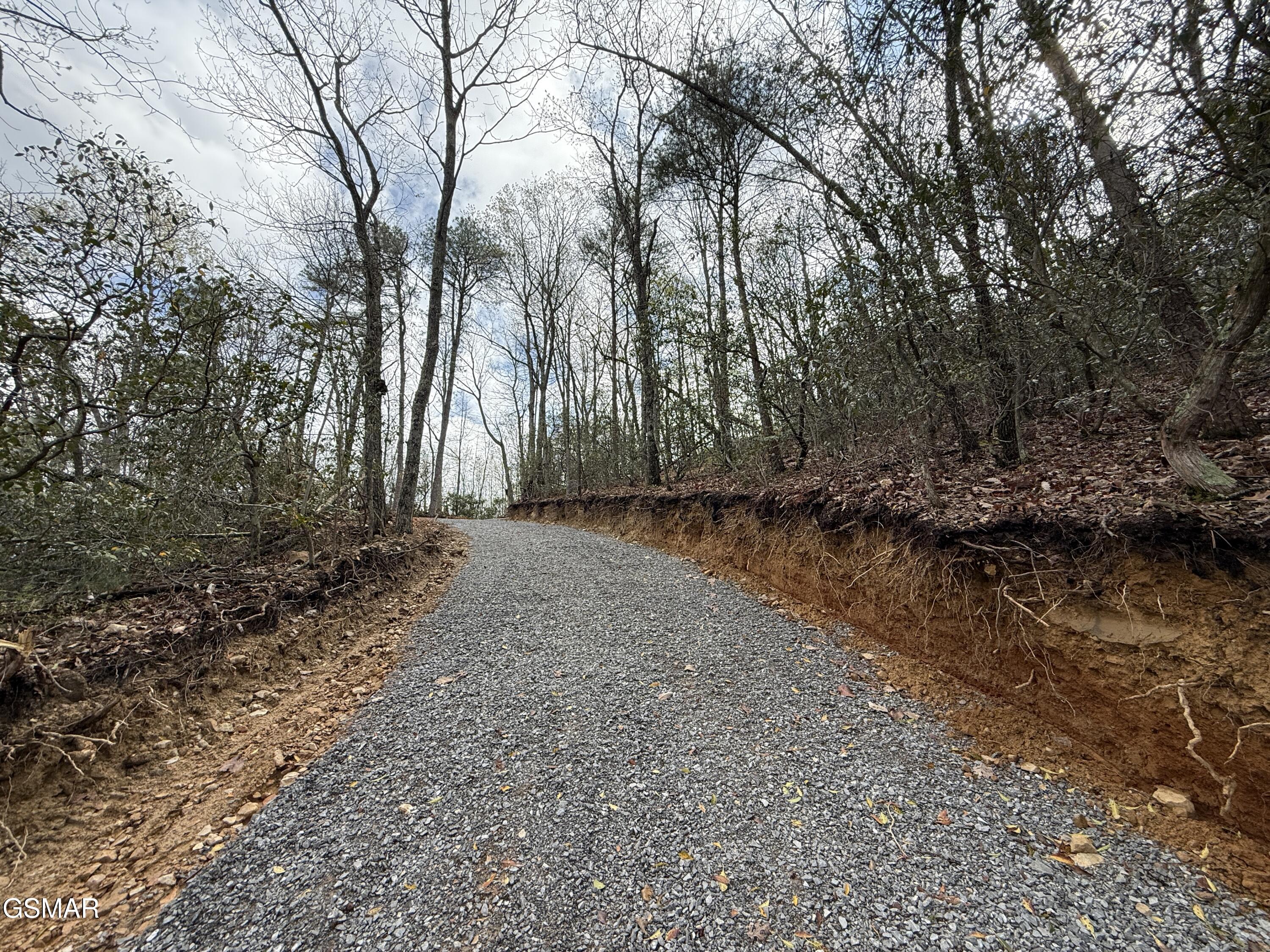 3.93 Green Forest Road Cosby TN 37722