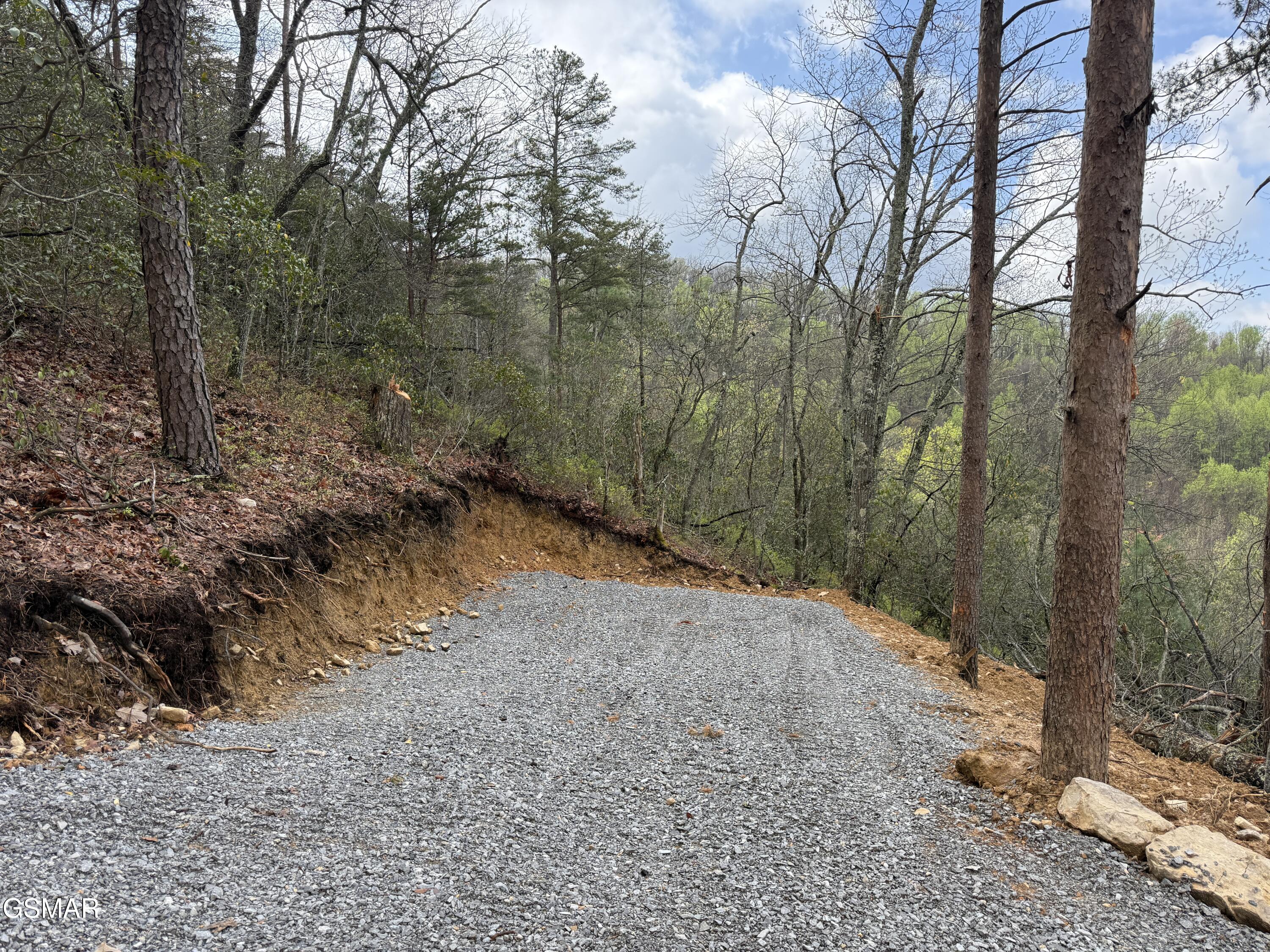 3.93 Green Forest Road Cosby TN 37722