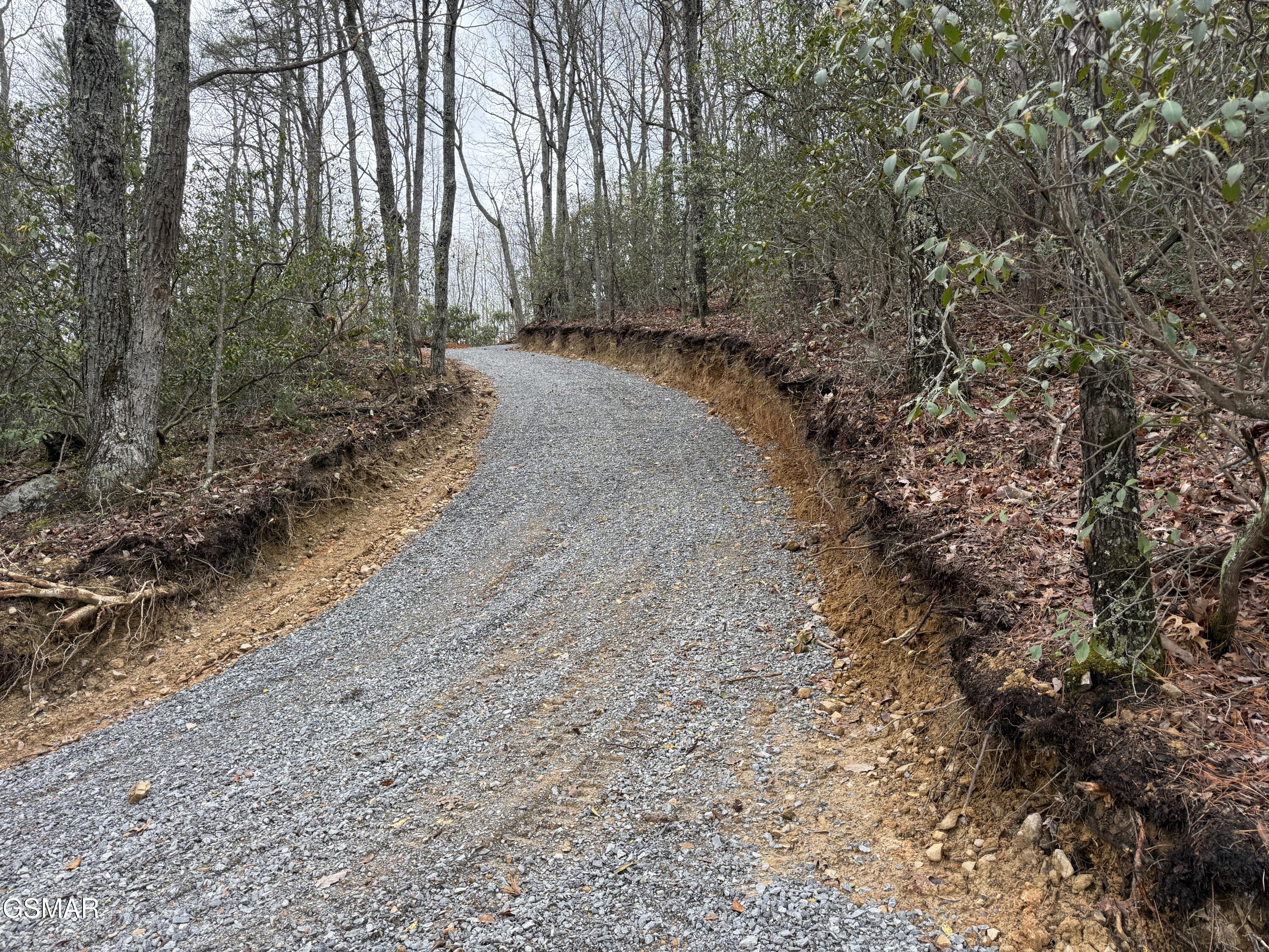 3.93 Green Forest Road Cosby TN 37722