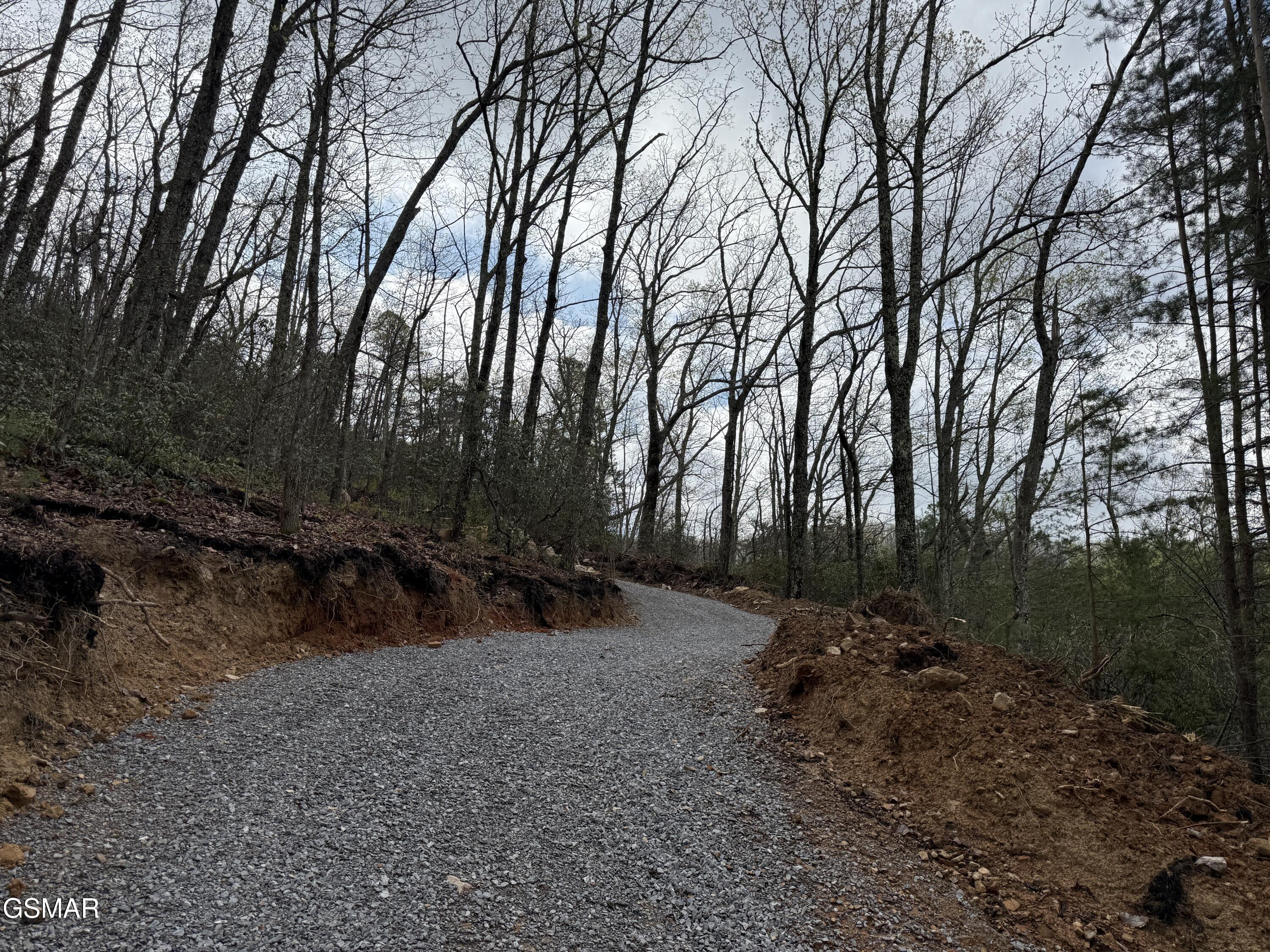 3.93 Green Forest Road Cosby TN 37722