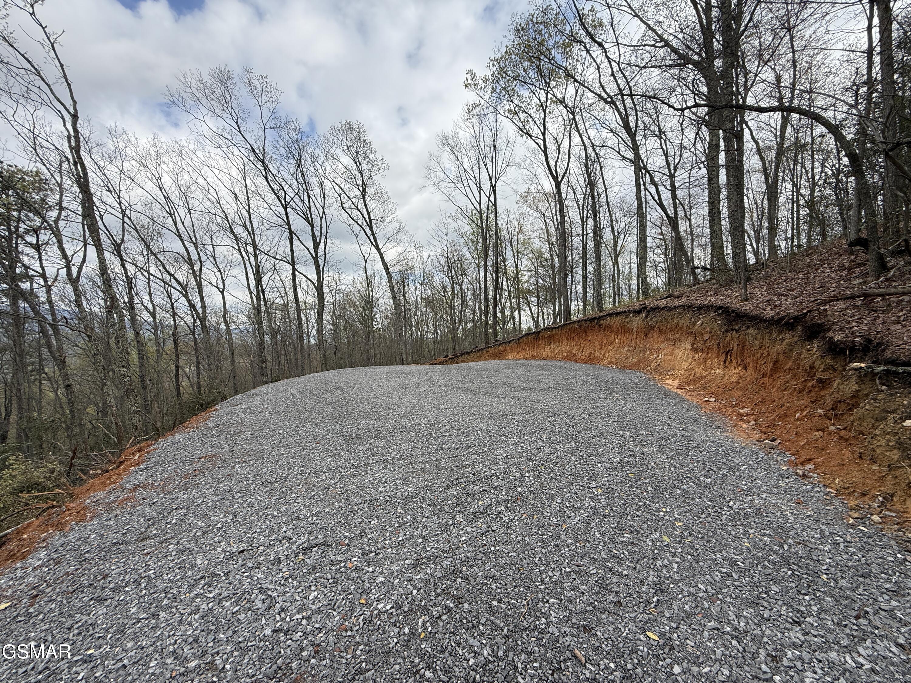 3.93 Green Forest Road Cosby TN 37722