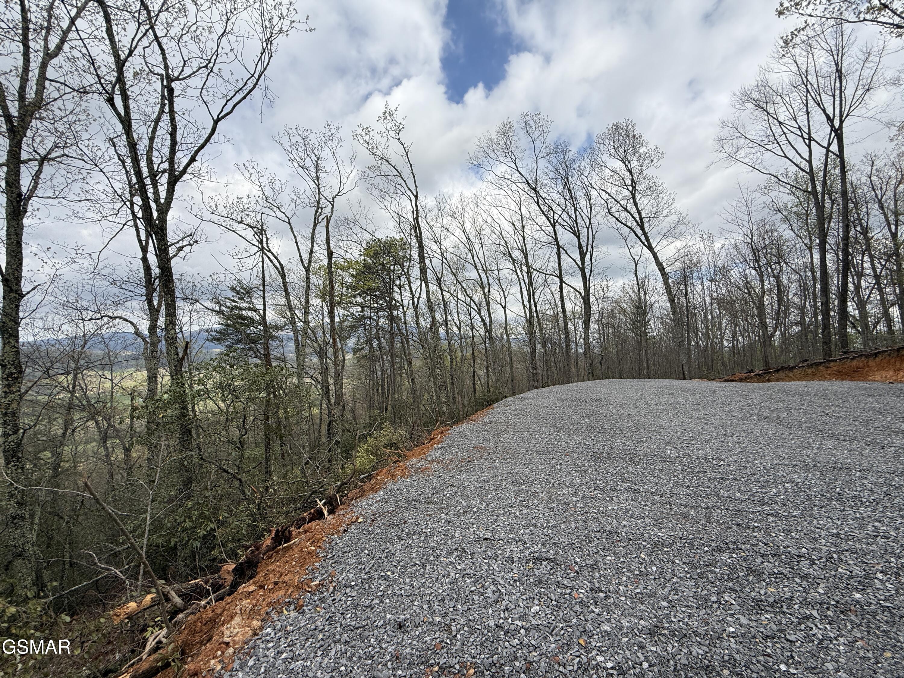 3.93 Green Forest Road Cosby TN 37722