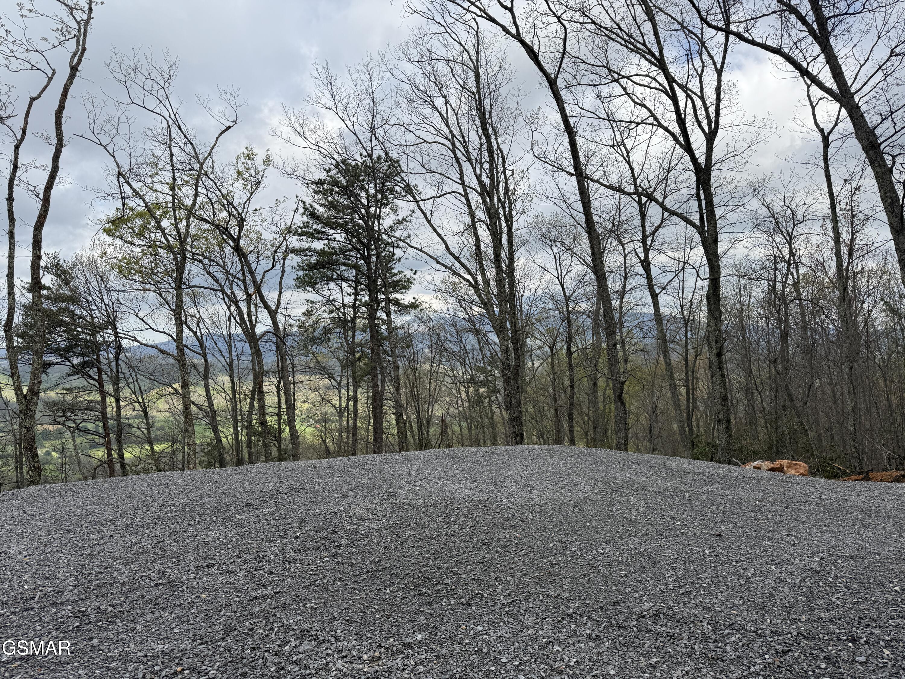 3.93 Green Forest Road Cosby TN 37722