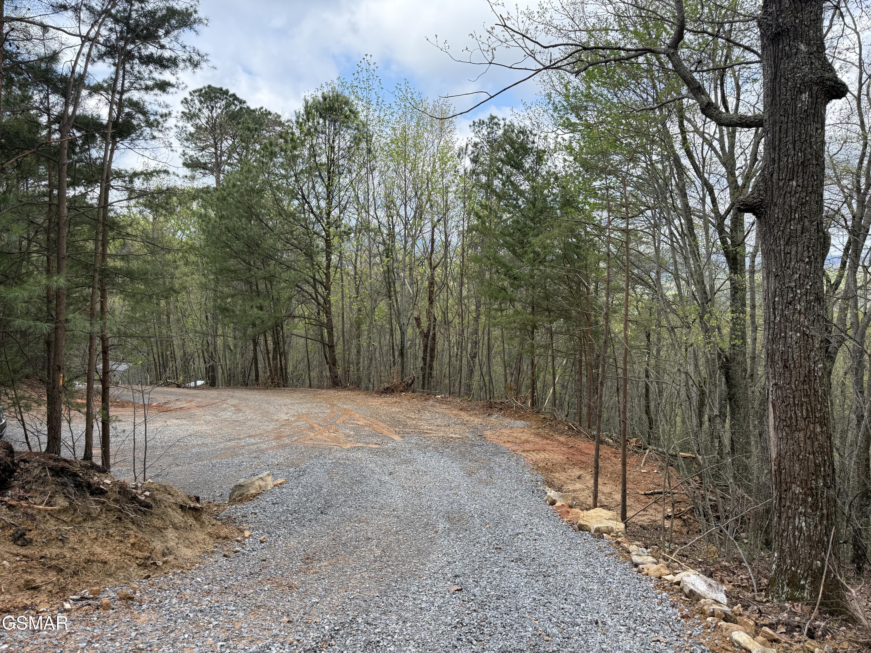 3.93 Green Forest Road Cosby TN 37722