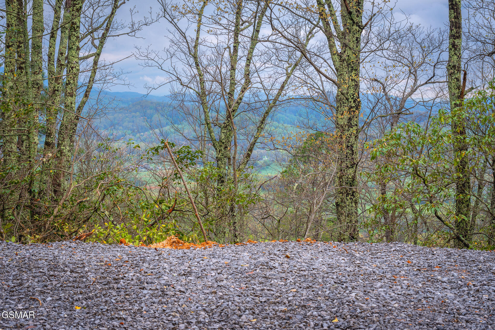 3.93 Green Forest Road Cosby TN 37722