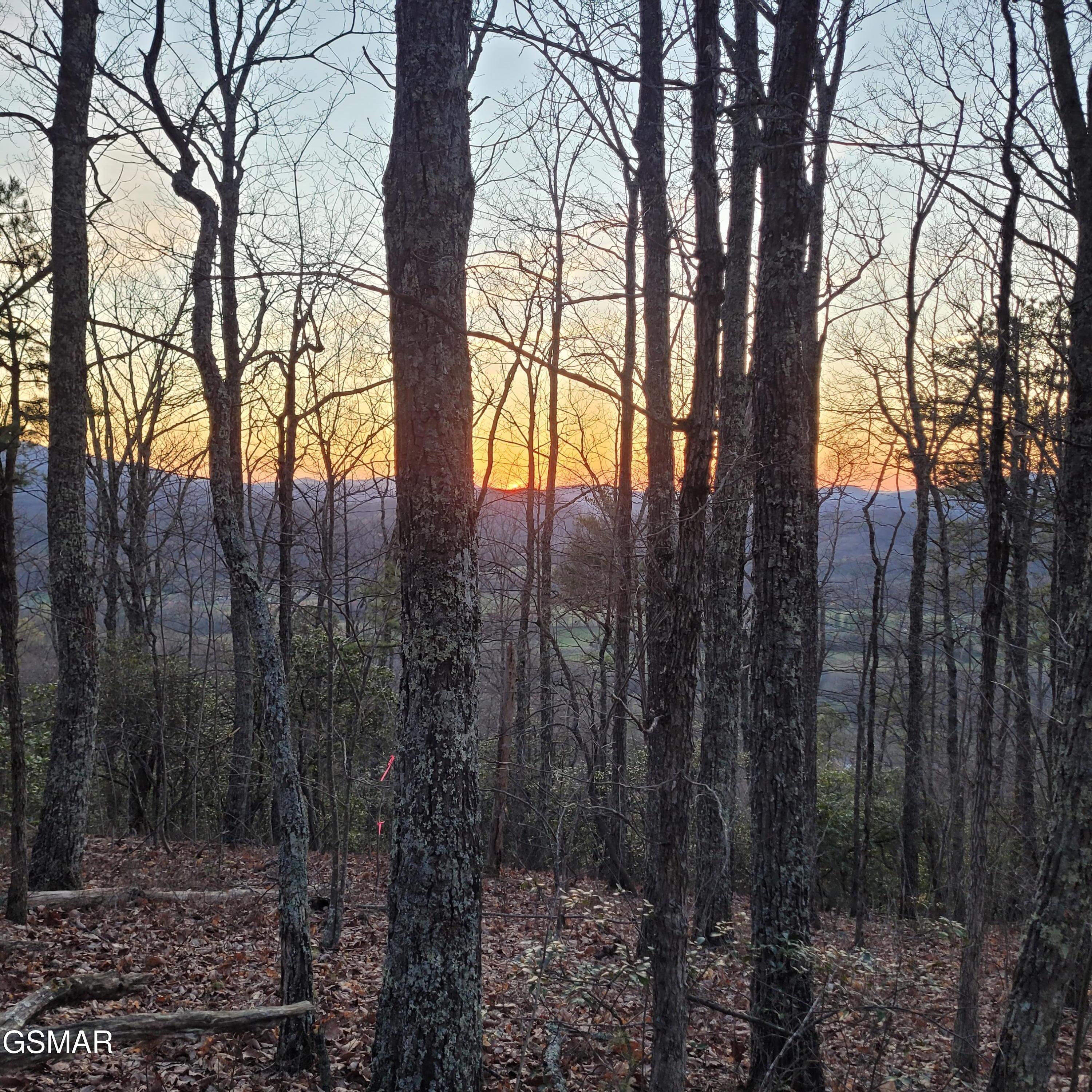 3.93 Green Forest Road Cosby TN 37722