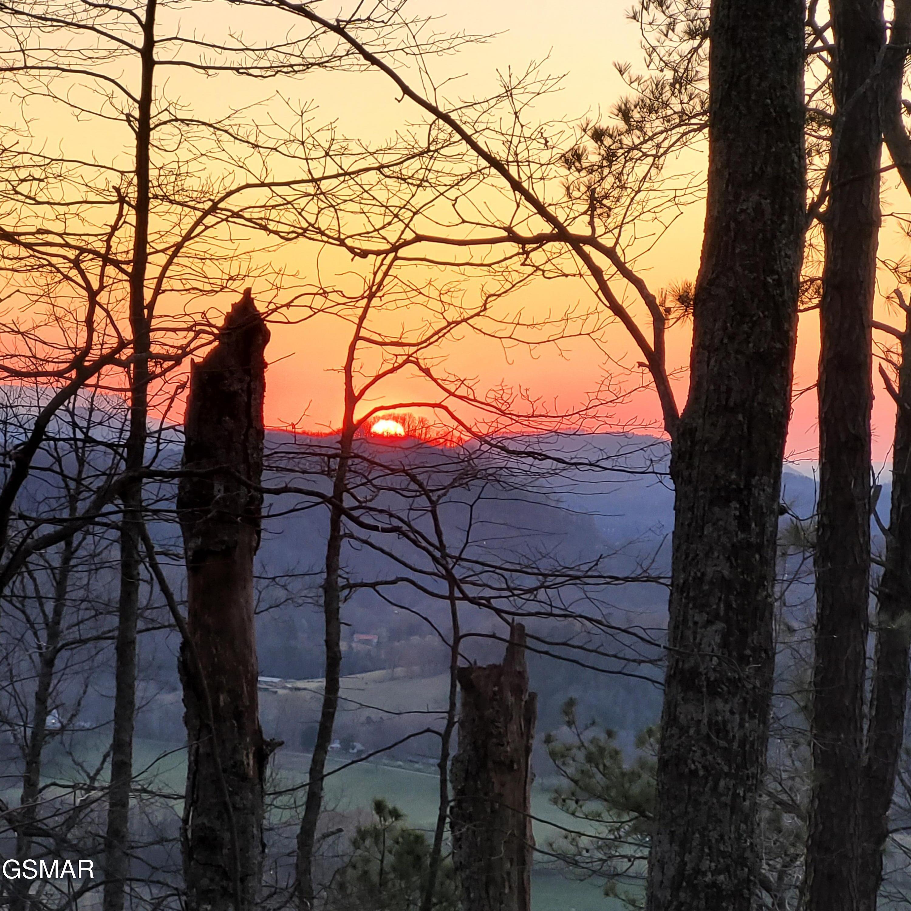 3.93 Green Forest Road Cosby TN 37722