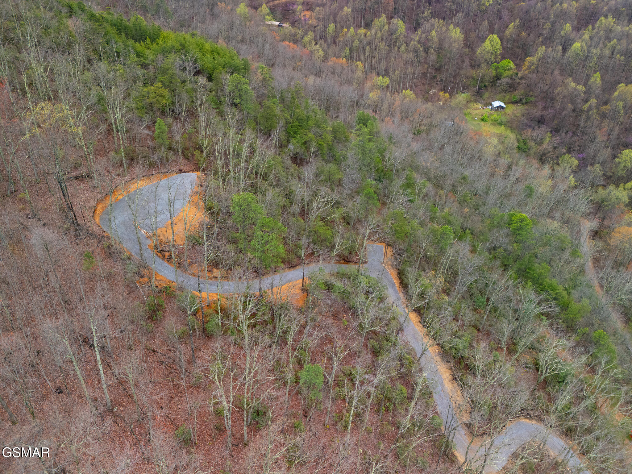 3.93 Green Forest Road Cosby TN 37722