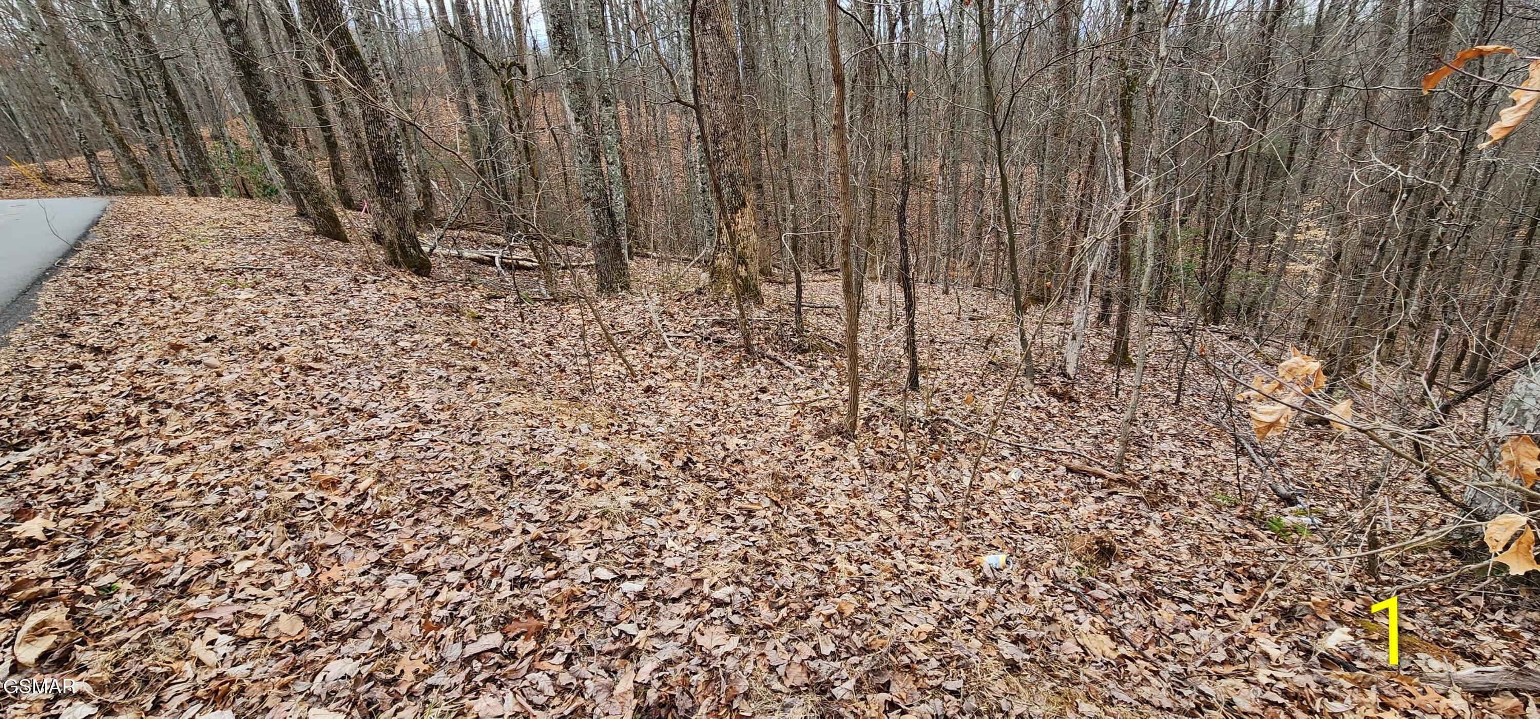 2225 King Hollow Road Sevierville TN 37876