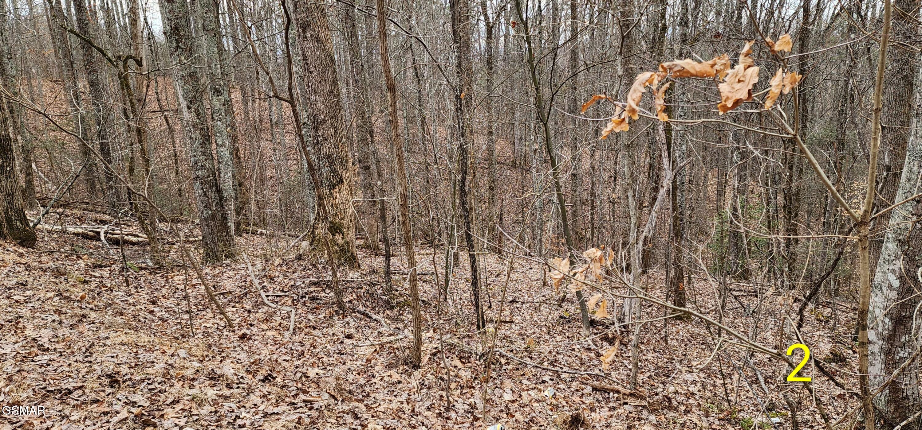 2225 King Hollow Road Sevierville TN 37876