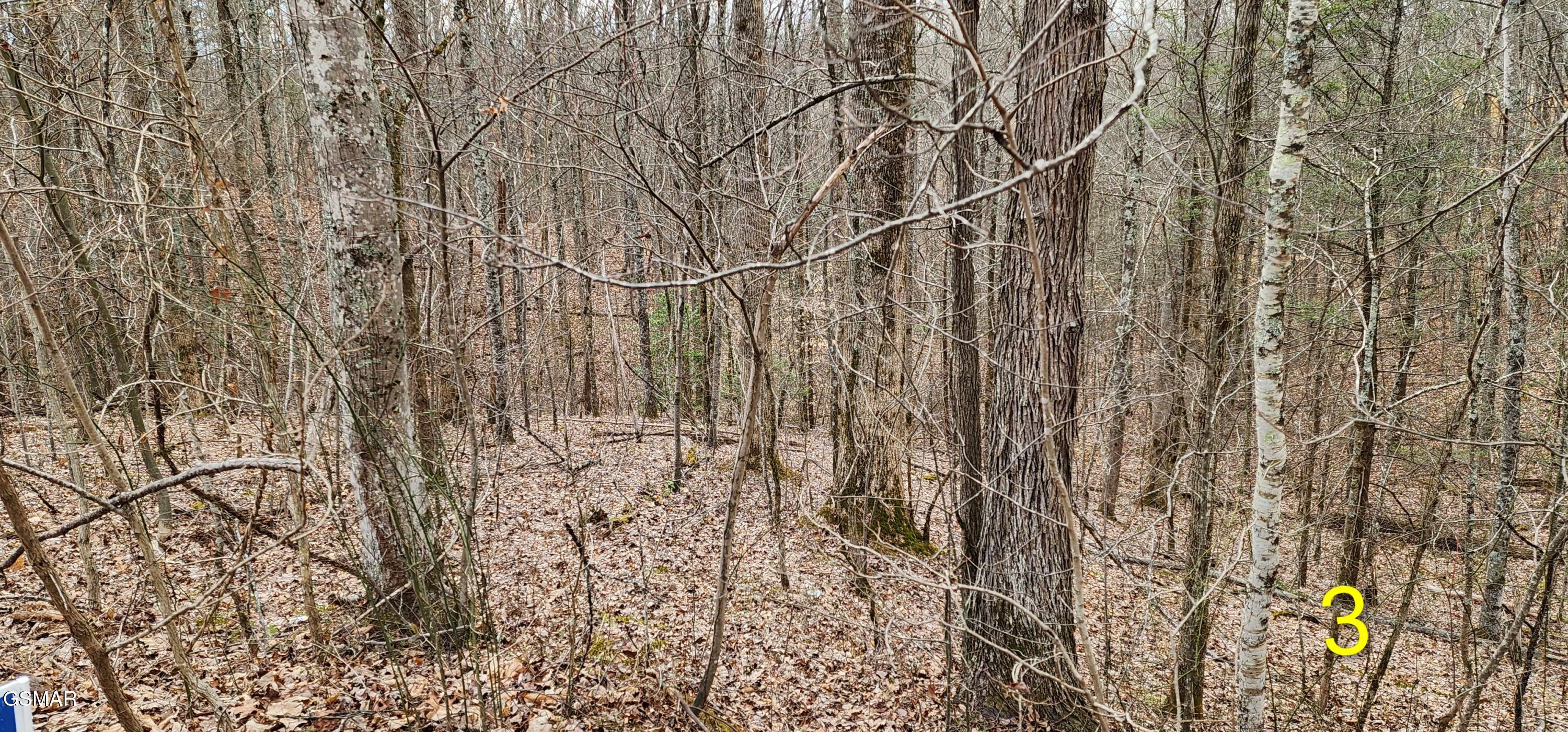 2225 King Hollow Road Sevierville TN 37876