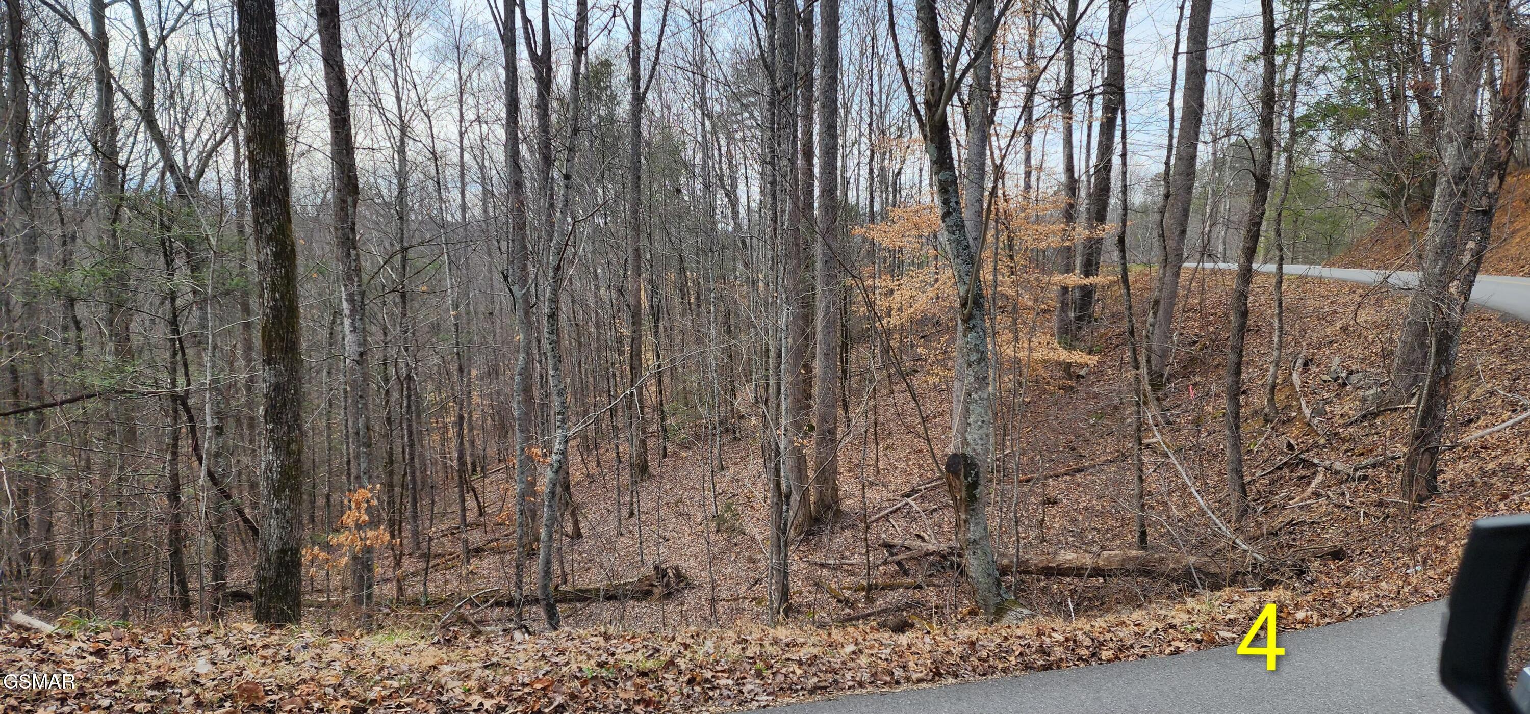 2225 King Hollow Road Sevierville TN 37876