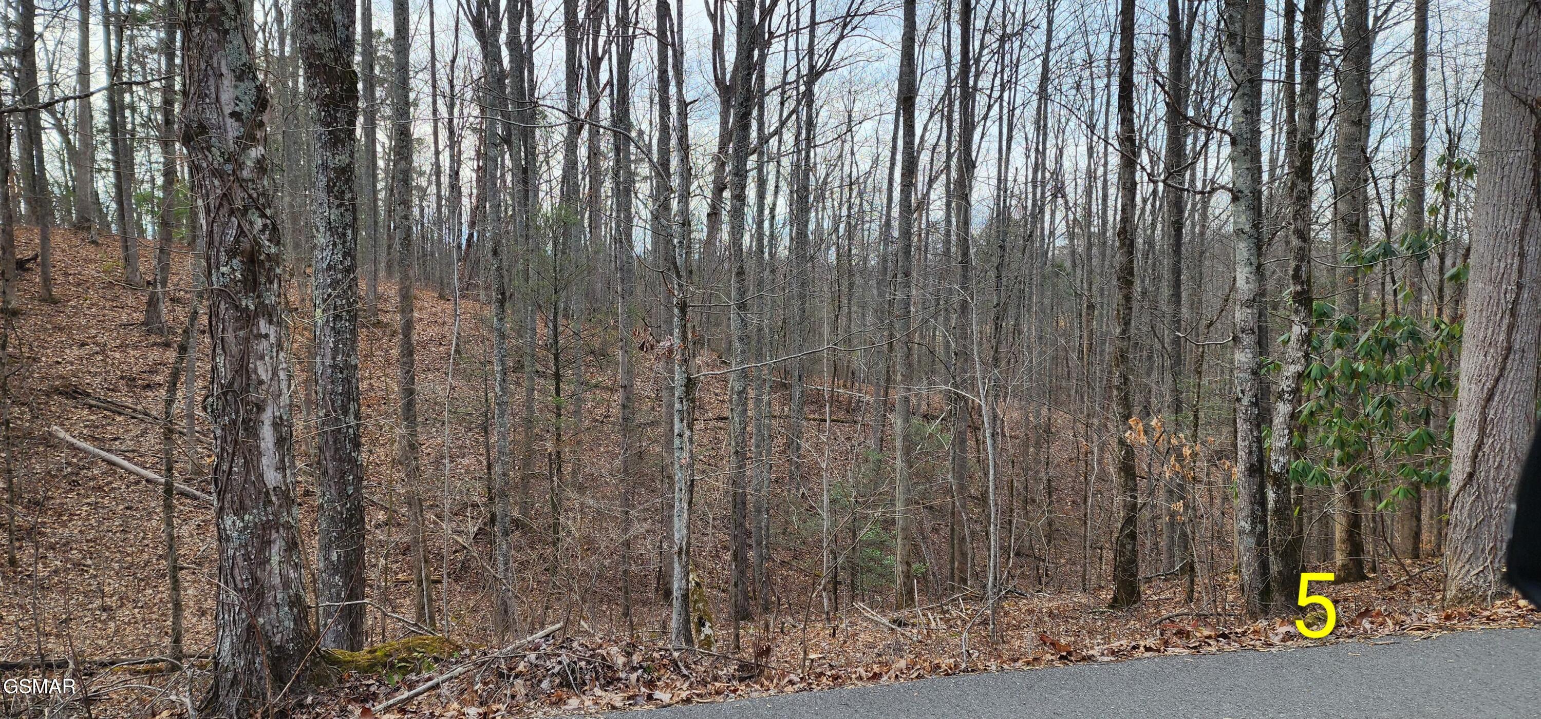 2225 King Hollow Road Sevierville TN 37876