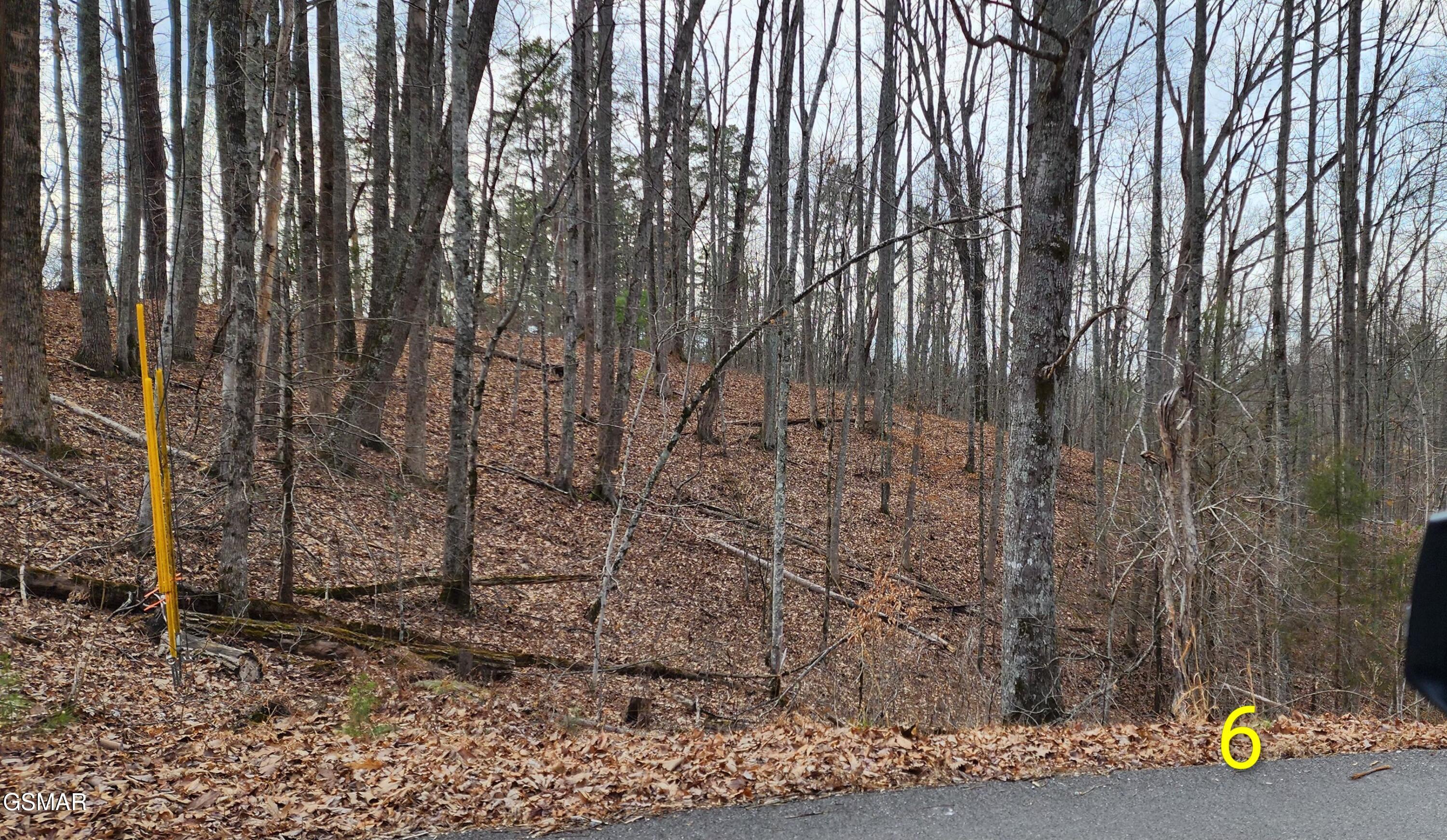 2225 King Hollow Road Sevierville TN 37876