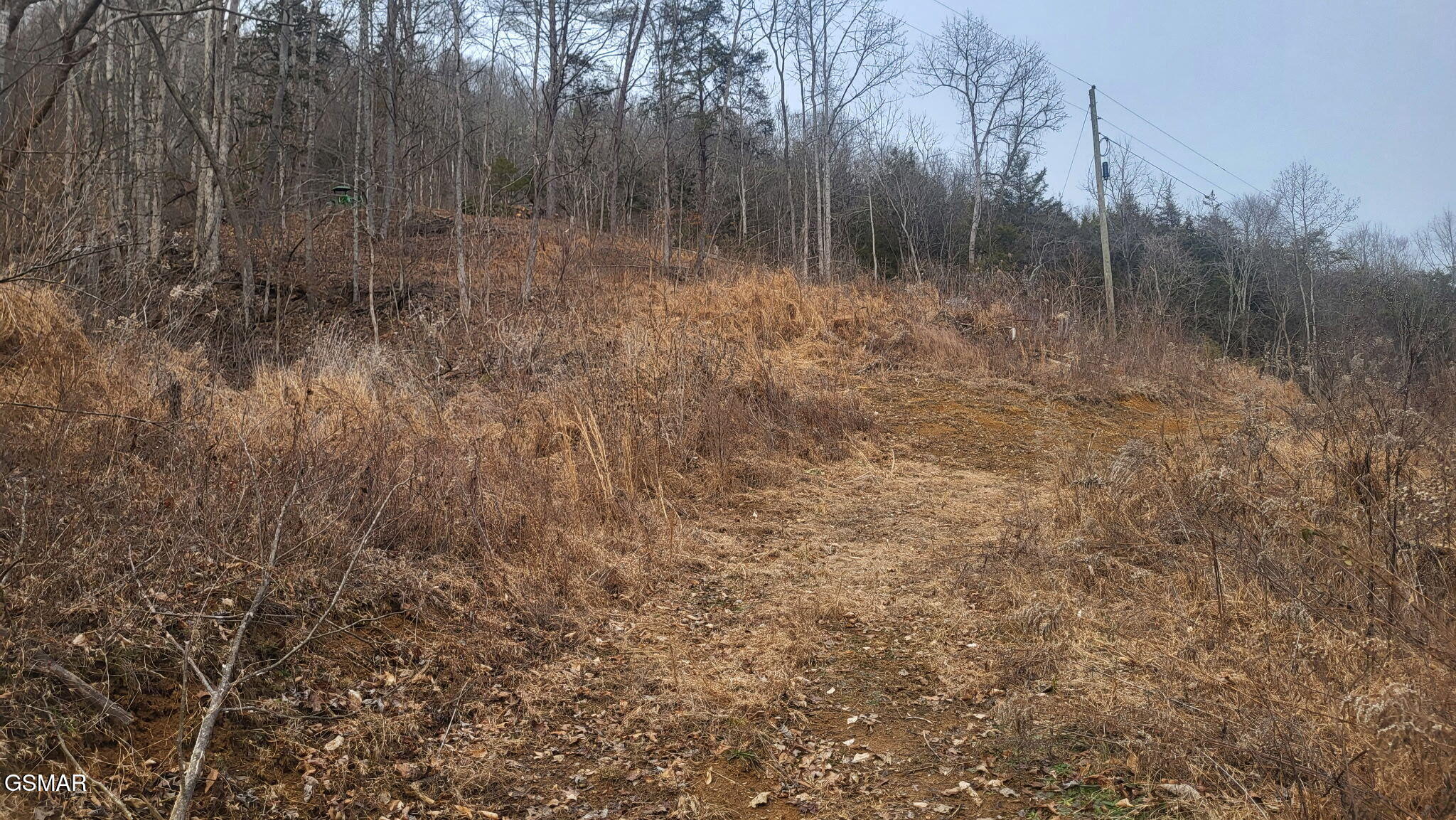 Tbd Mcamis Hollow Road Newport TN 37821