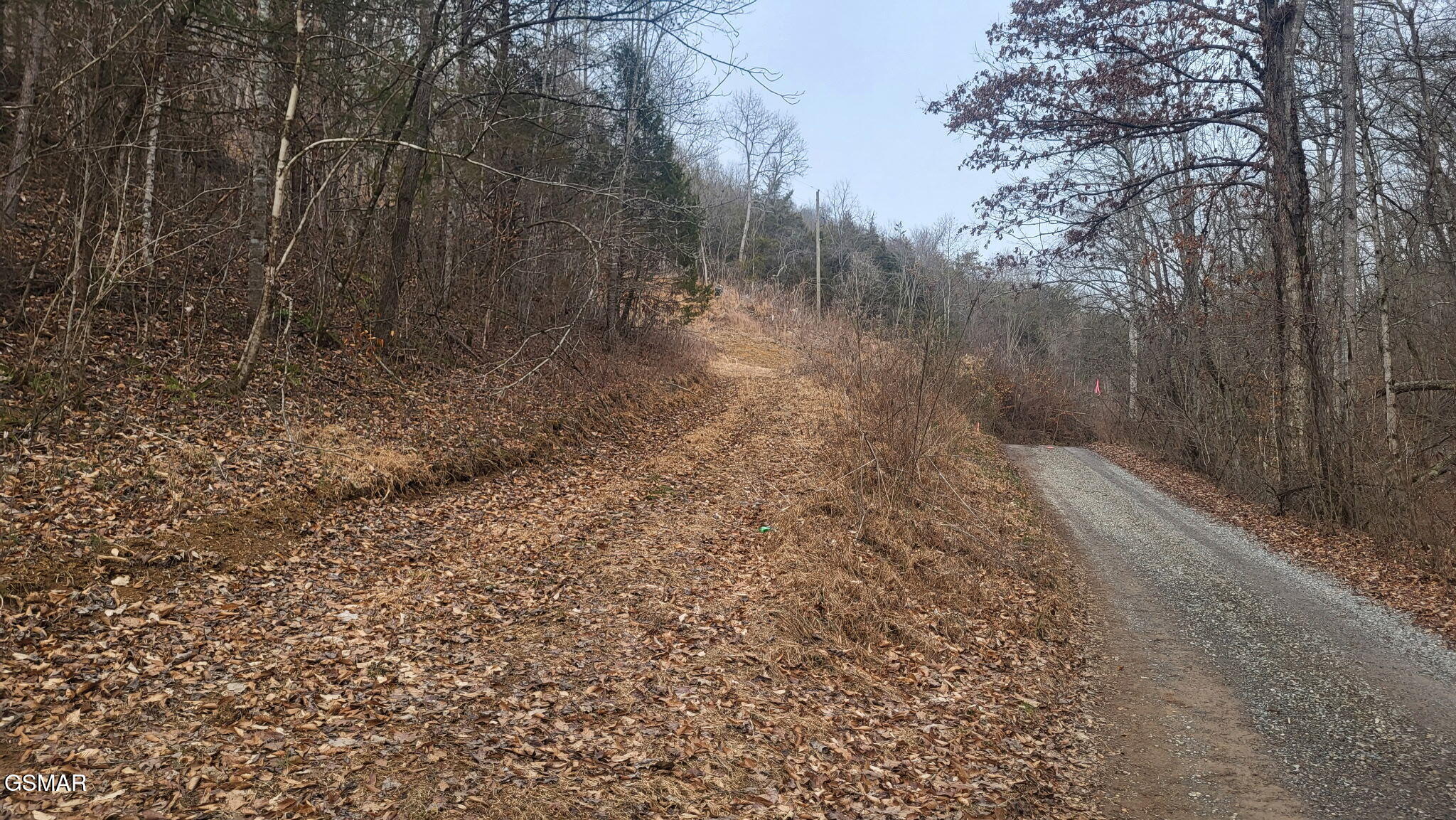 Tbd Mcamis Hollow Road Newport TN 37821