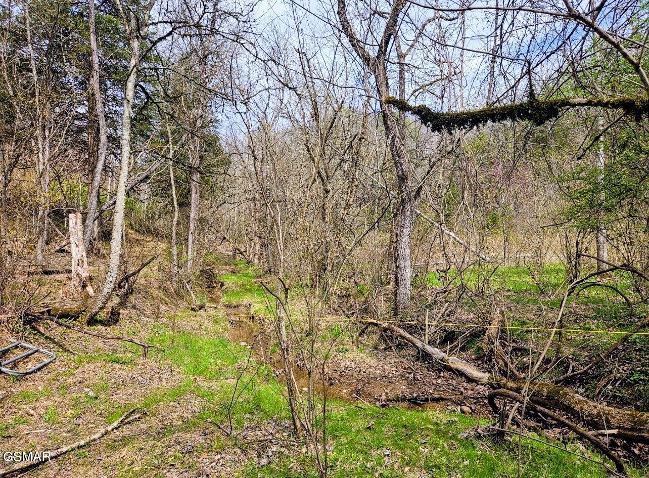 Tbd Mcamis Hollow Road Newport TN 37821