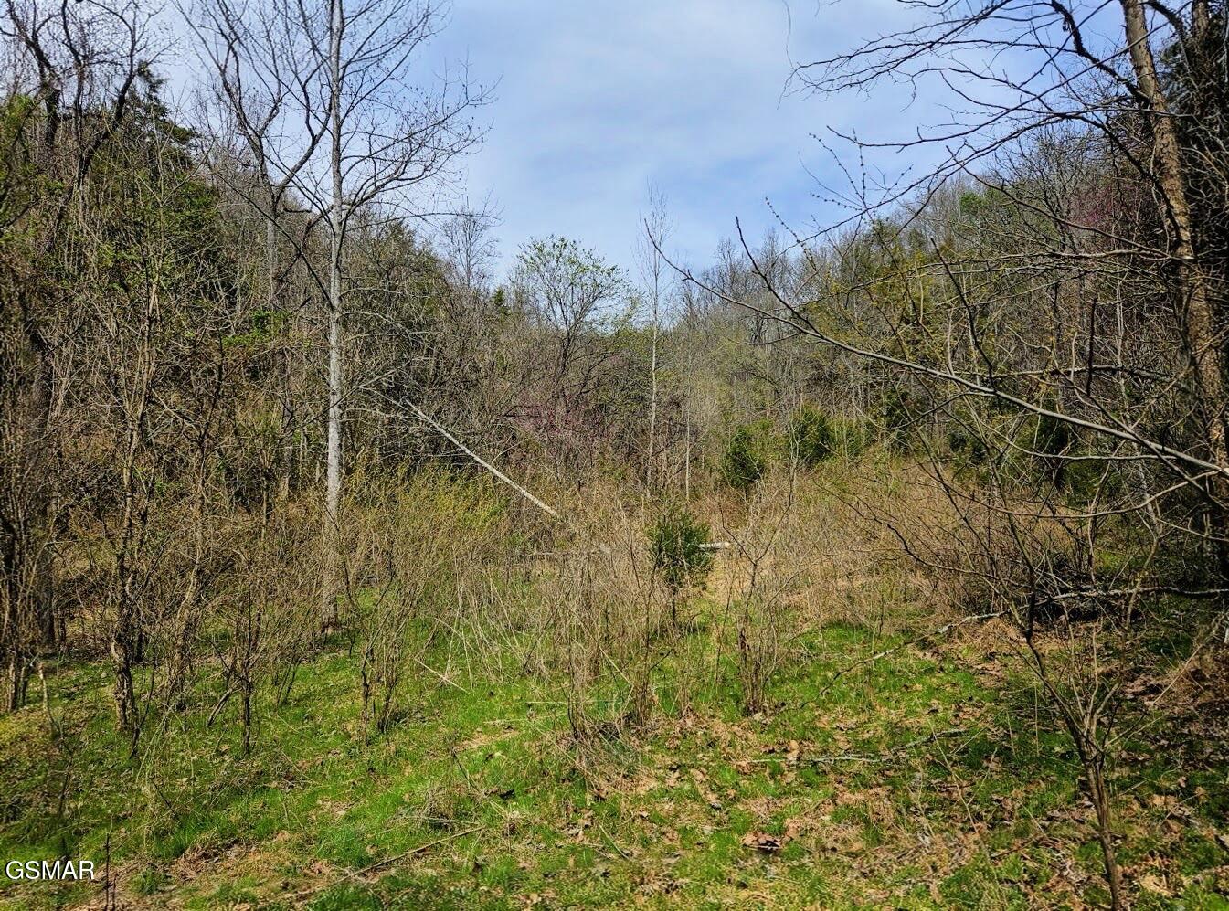 Tbd Mcamis Hollow Road Newport TN 37821