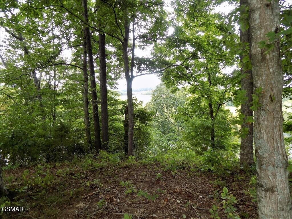 2027 River Mist Circle New Market TN 37820