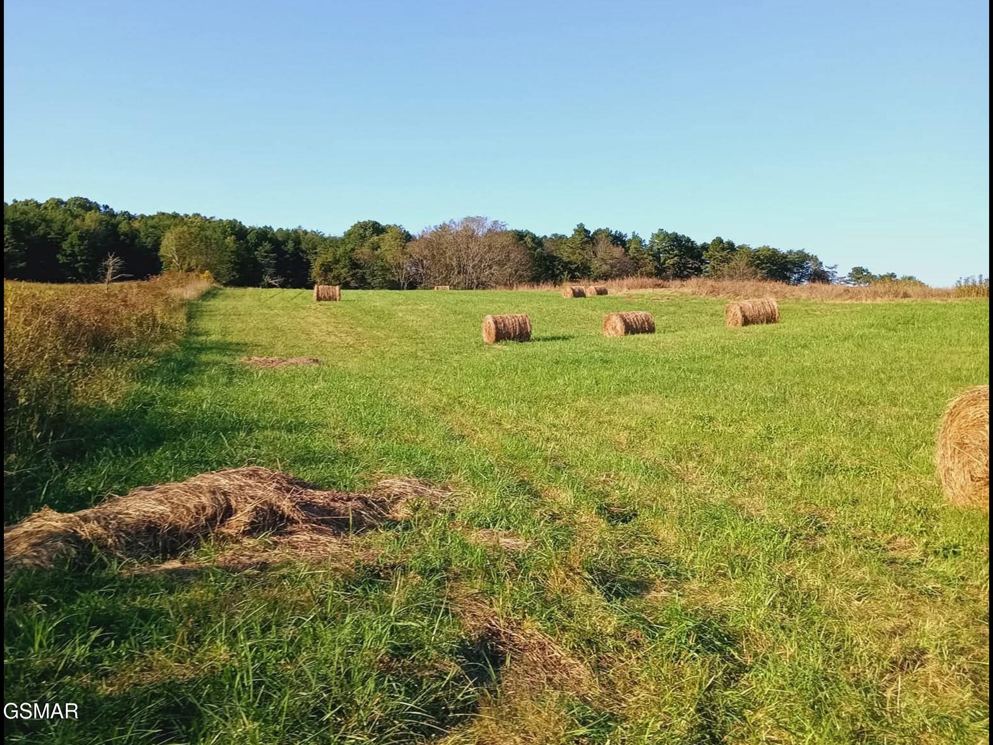 436 Thorngrove Pike Kodak TN 37764