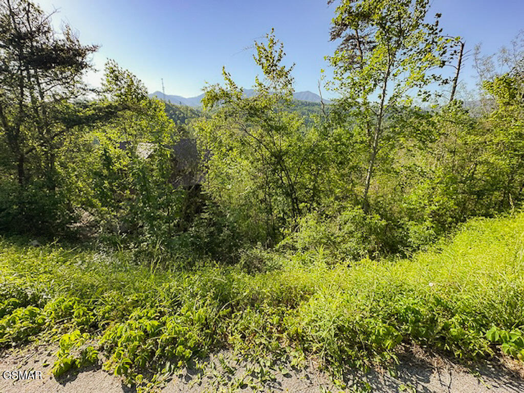 Lot 11 W Pinnacle Drive Gatlinburg TN 37738