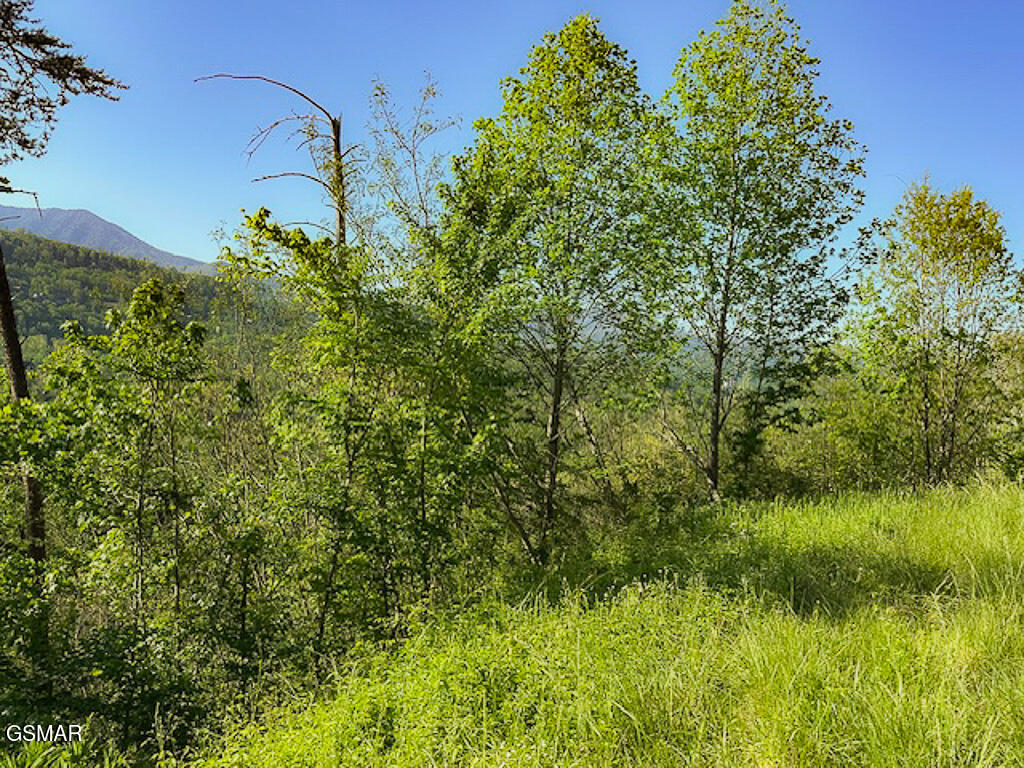 Lot 11 W Pinnacle Drive Gatlinburg TN 37738