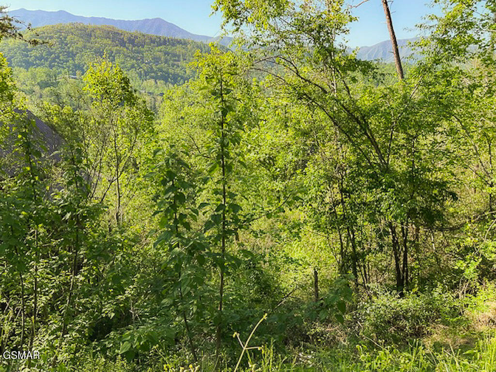 Lot 11 W Pinnacle Drive Gatlinburg TN 37738