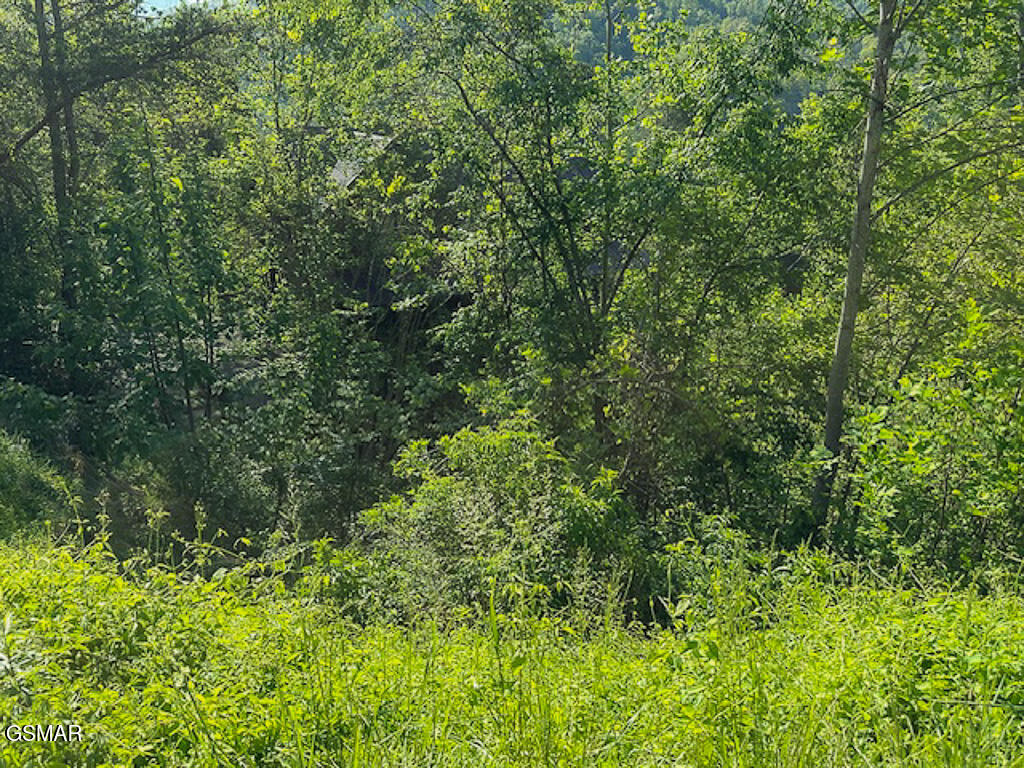 Lot 11 W Pinnacle Drive Gatlinburg TN 37738