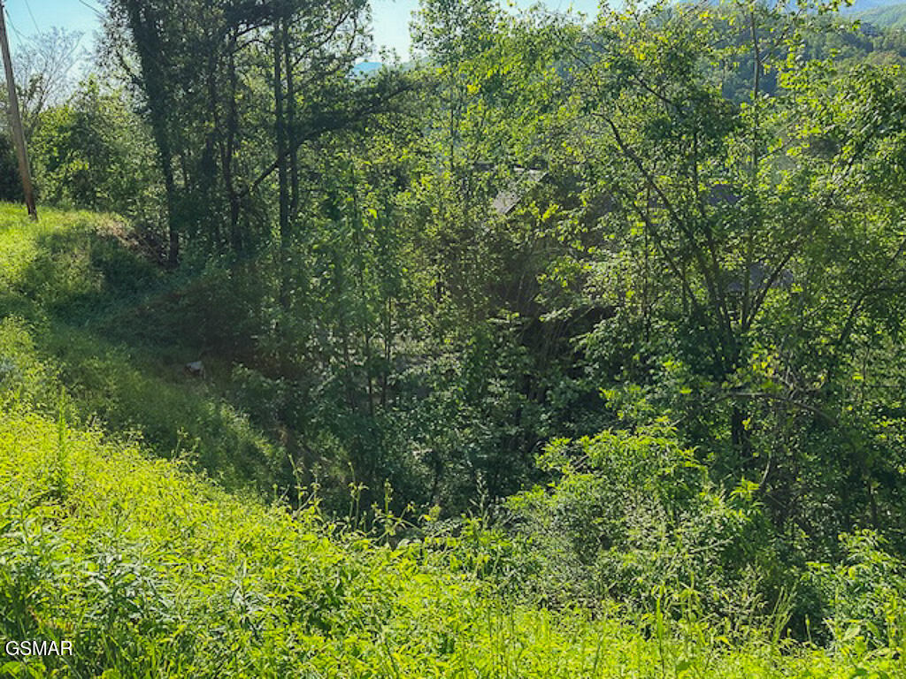 Lot 11 W Pinnacle Drive Gatlinburg TN 37738