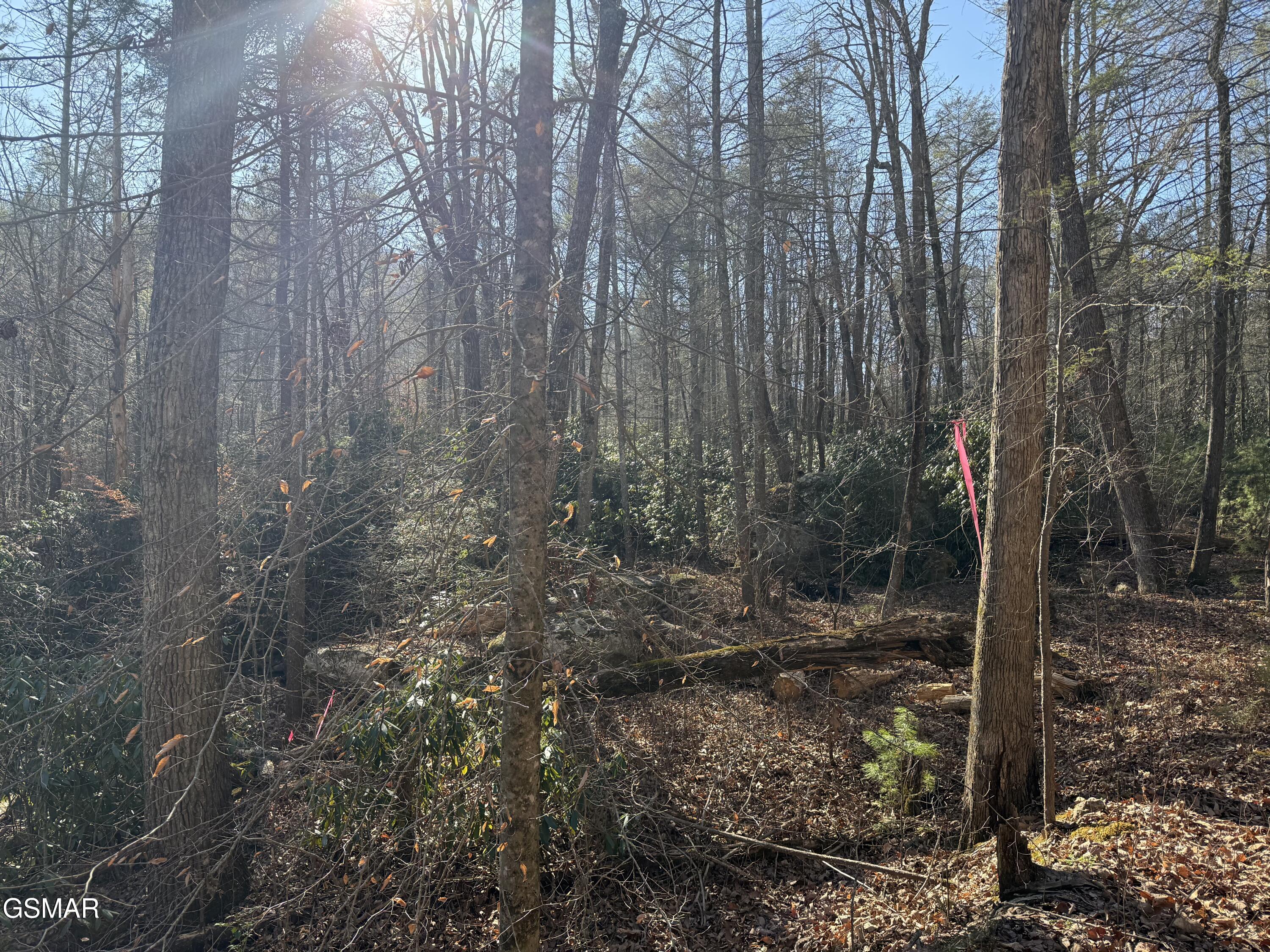805 Bogard Creek Road Cosby TN 37722