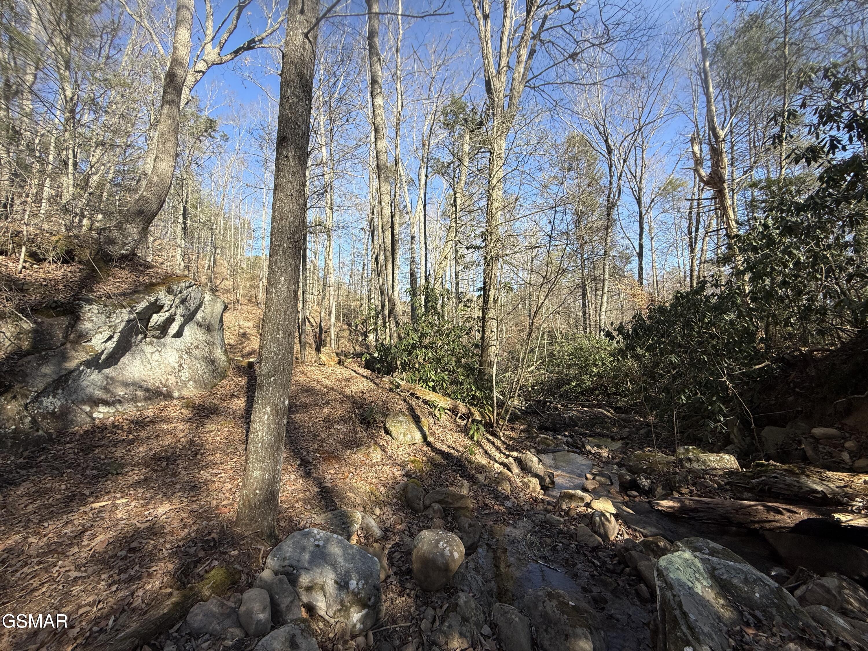 805 Bogard Creek Road Cosby TN 37722