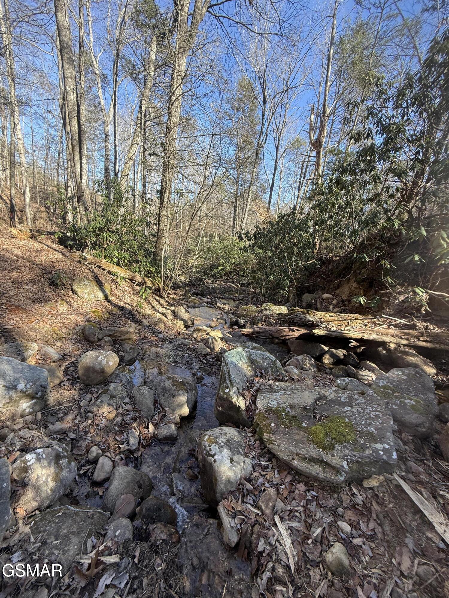 805 Bogard Creek Road Cosby TN 37722
