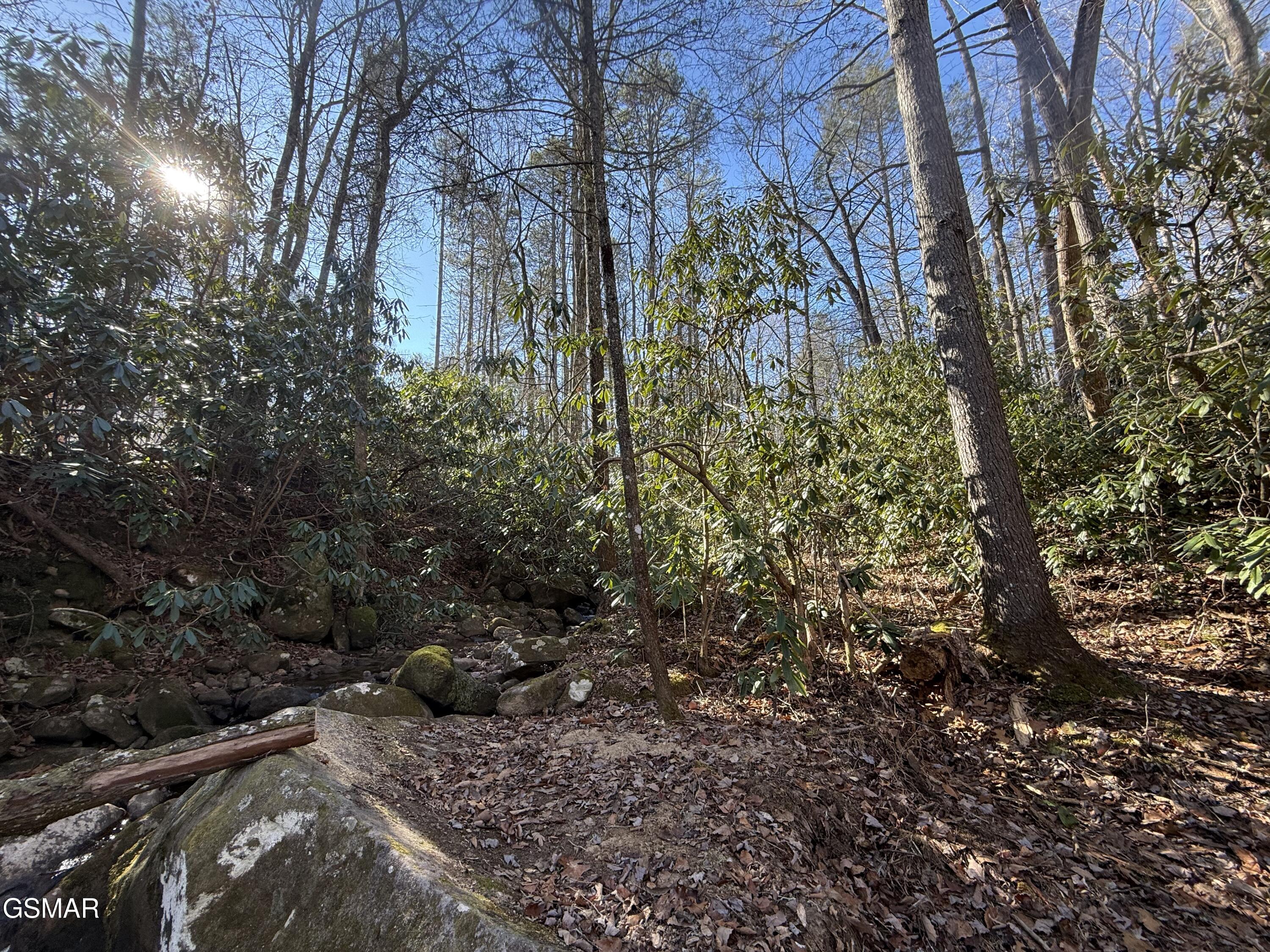 805 Bogard Creek Road Cosby TN 37722
