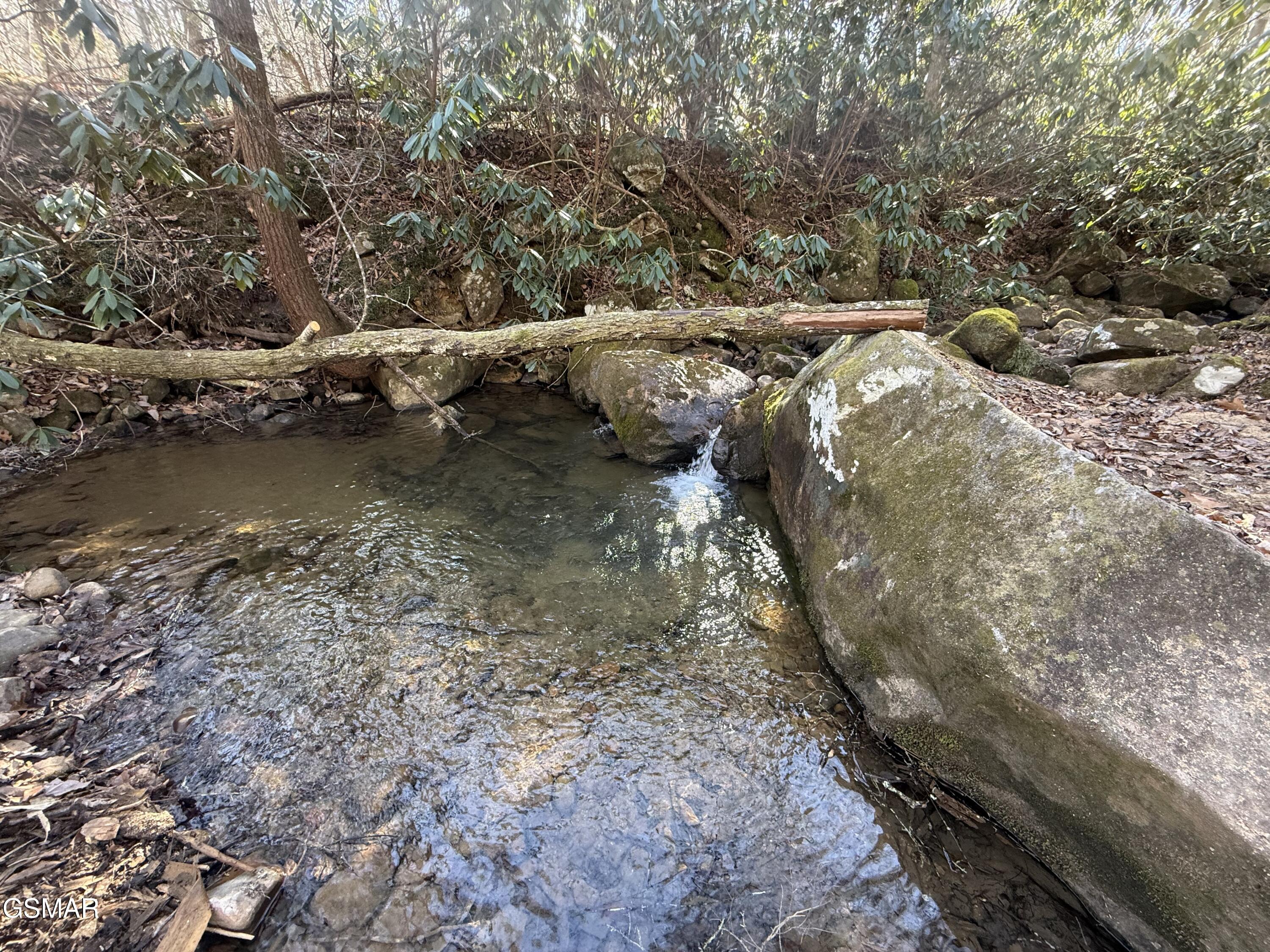 805 Bogard Creek Road Cosby TN 37722