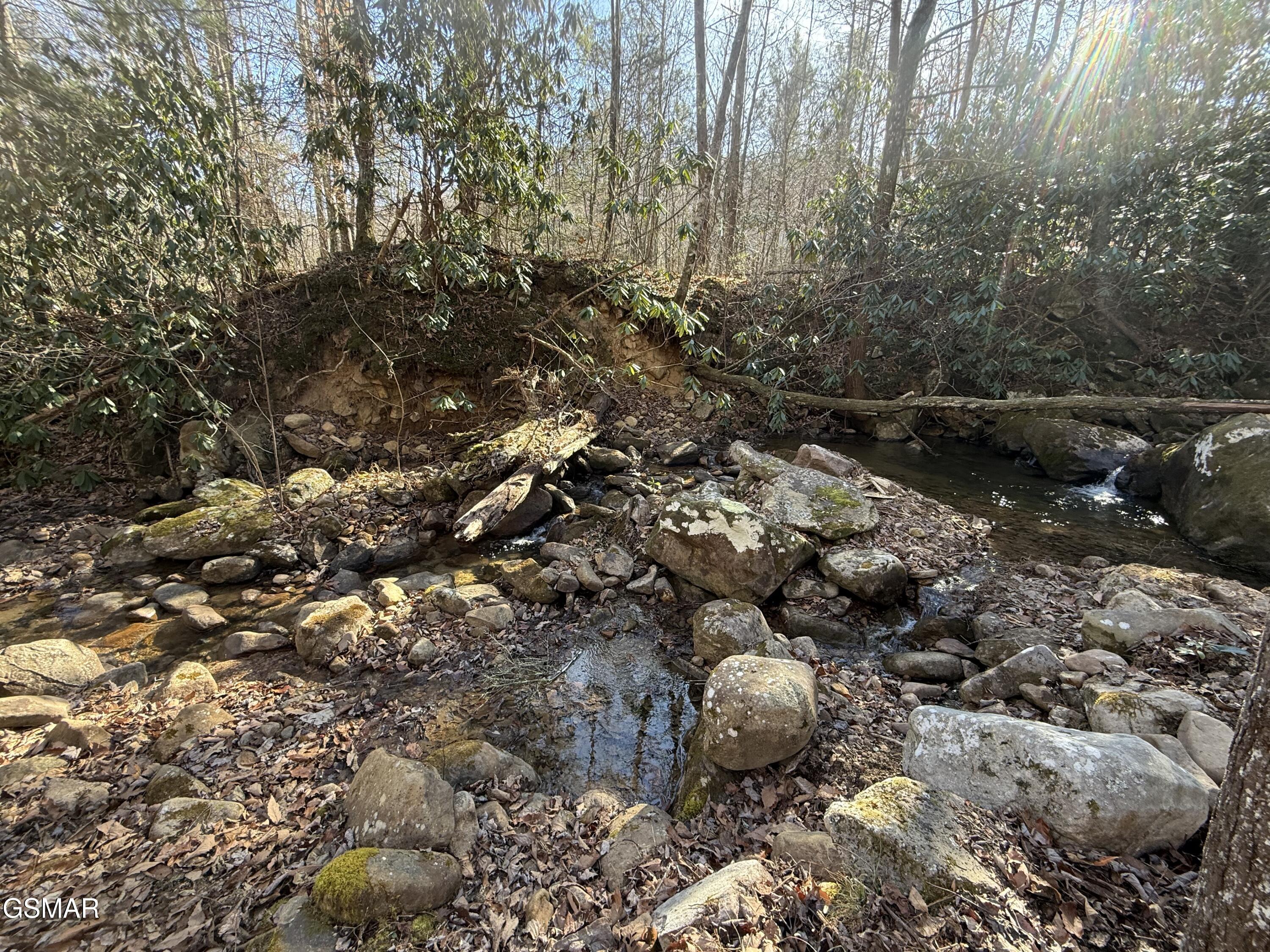 805 Bogard Creek Road Cosby TN 37722