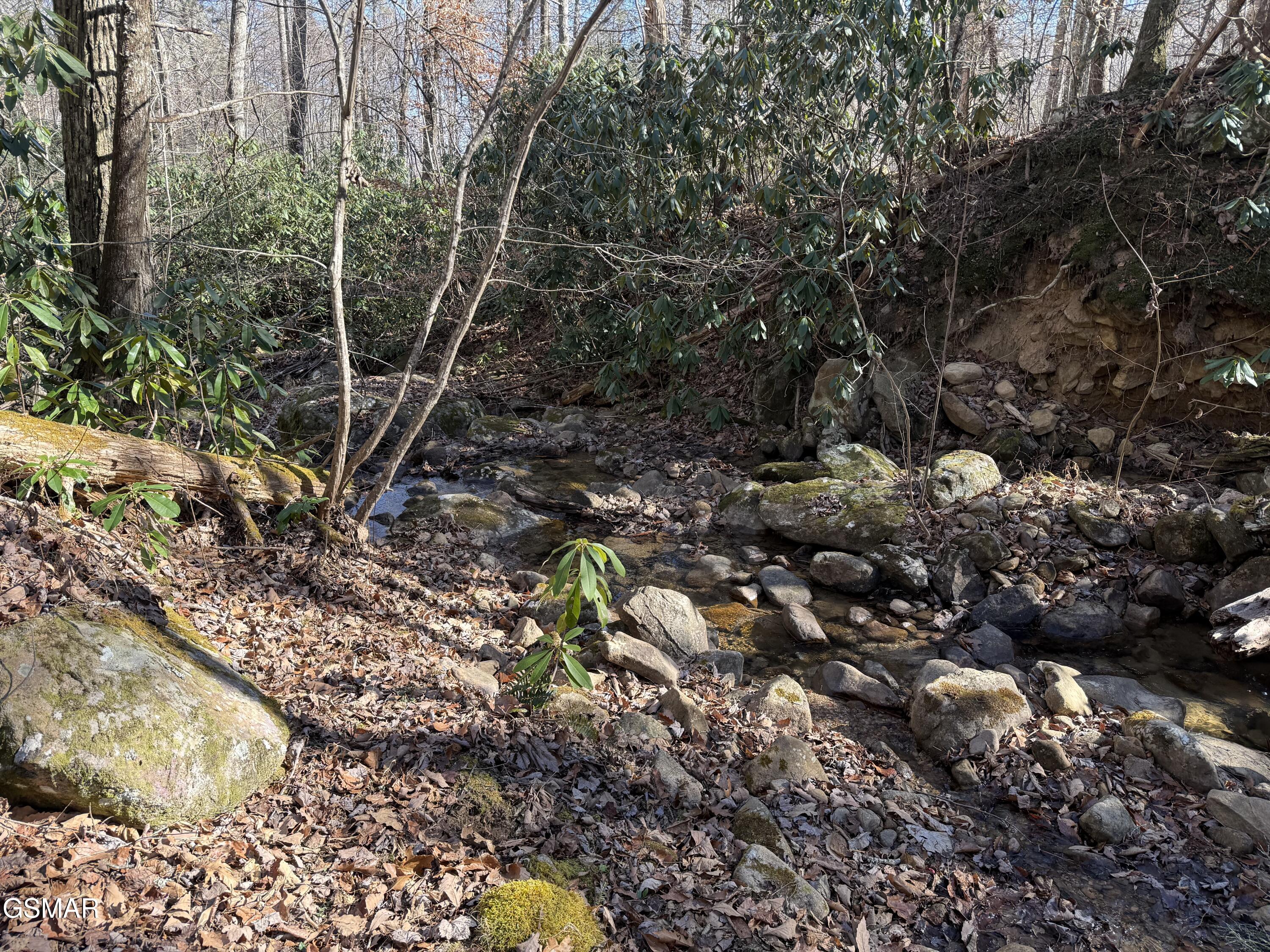 805 Bogard Creek Road Cosby TN 37722