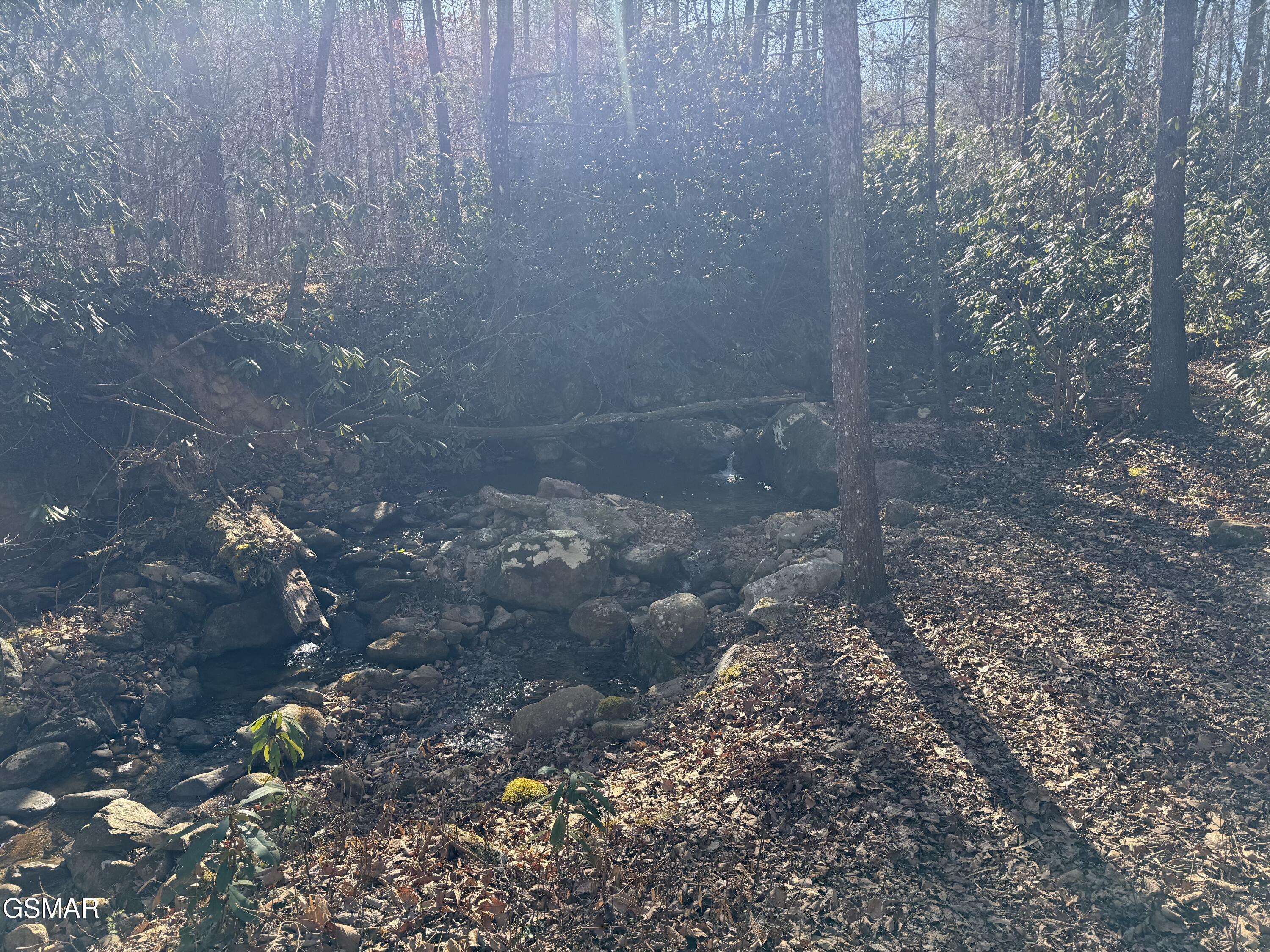 805 Bogard Creek Road Cosby TN 37722