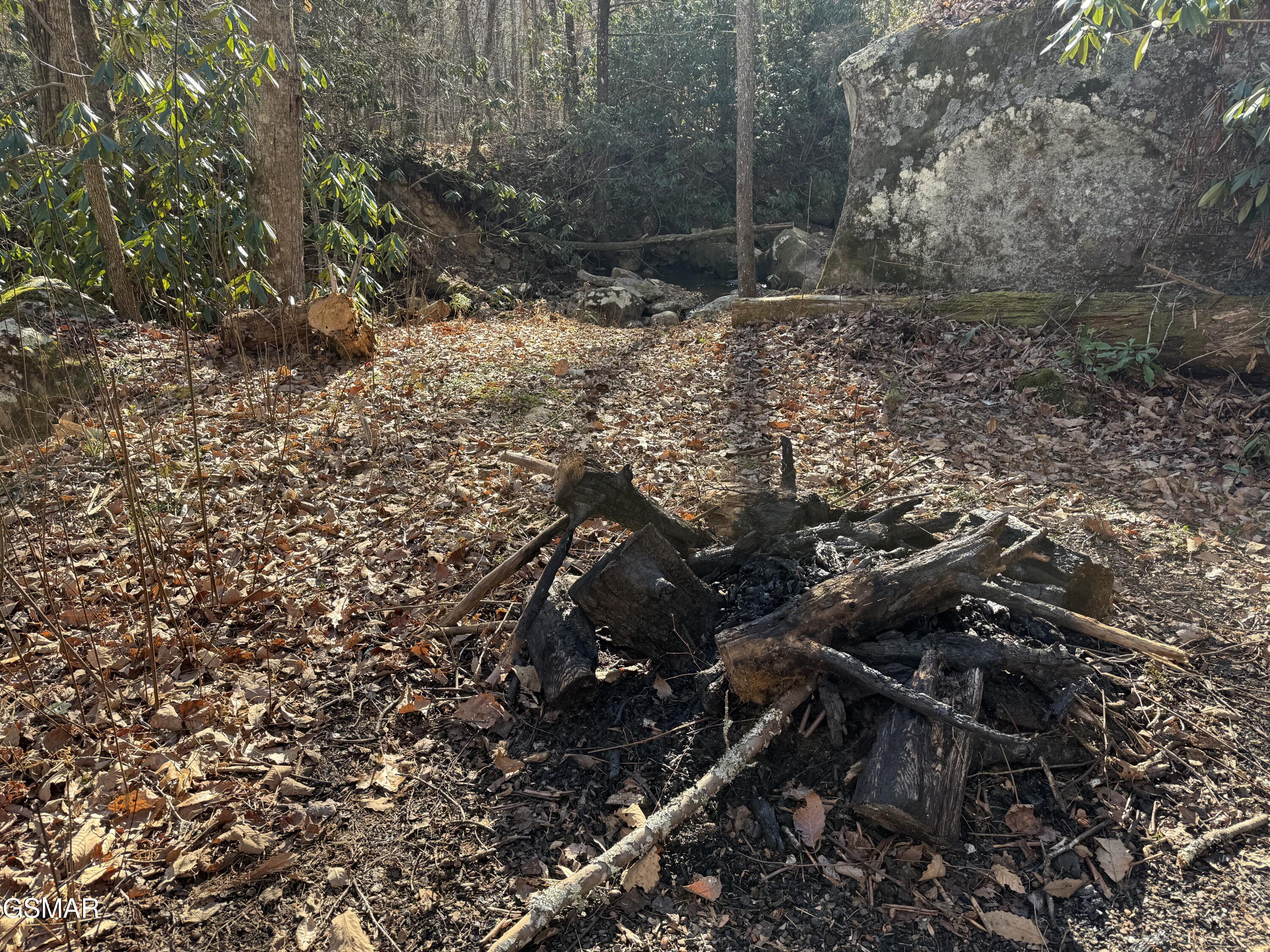 805 Bogard Creek Road Cosby TN 37722