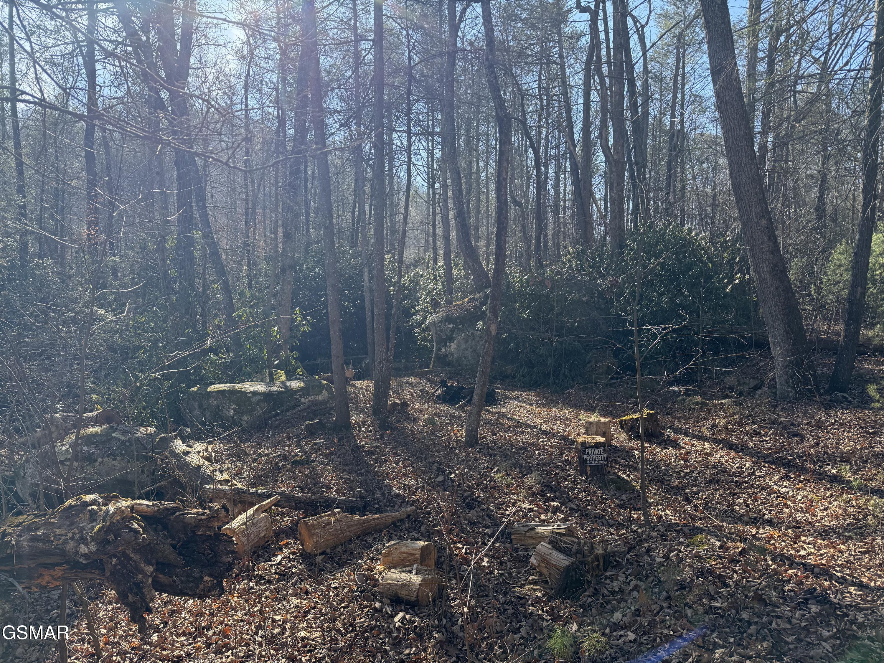 805 Bogard Creek Road Cosby TN 37722
