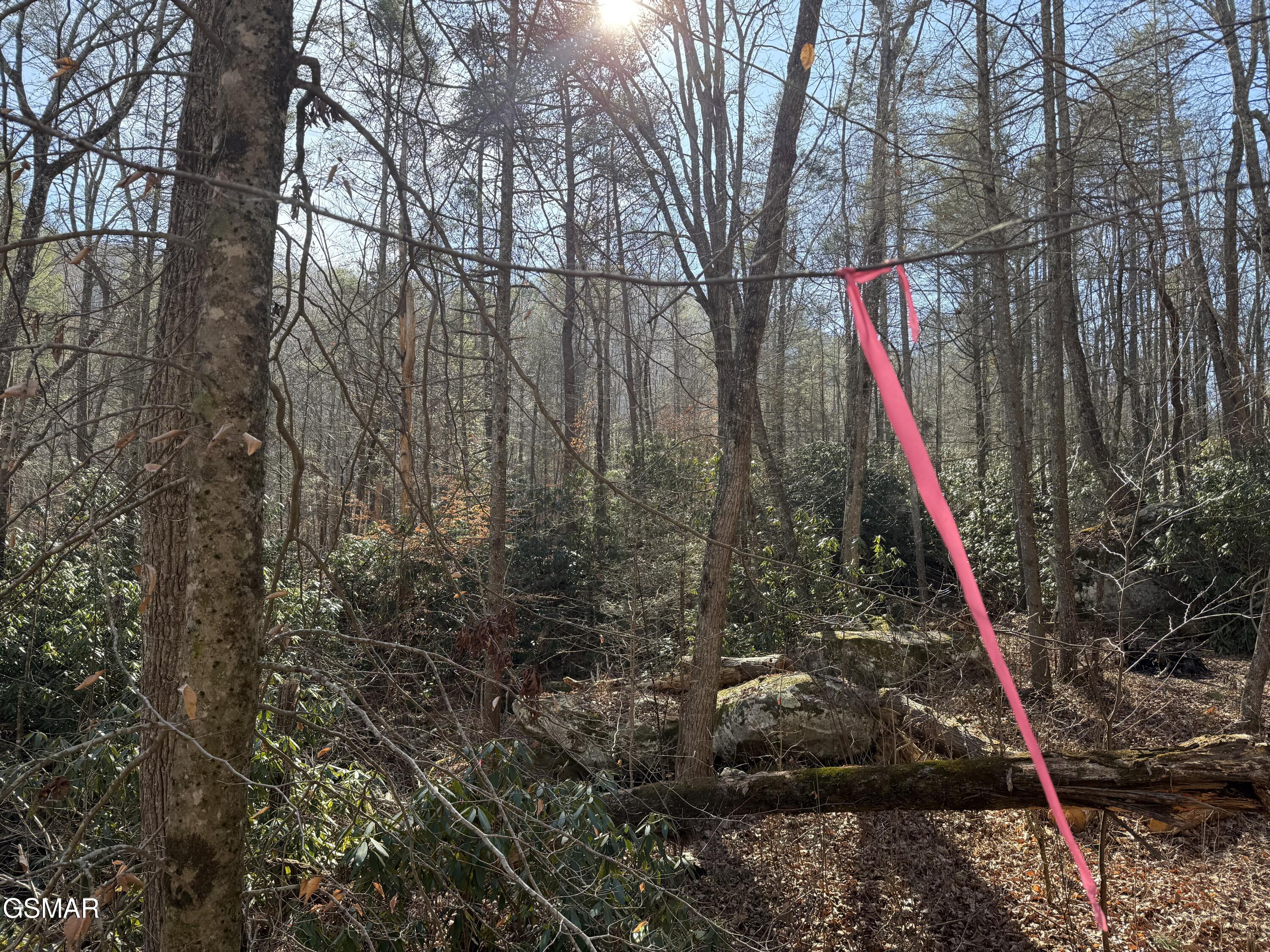 805 Bogard Creek Road Cosby TN 37722