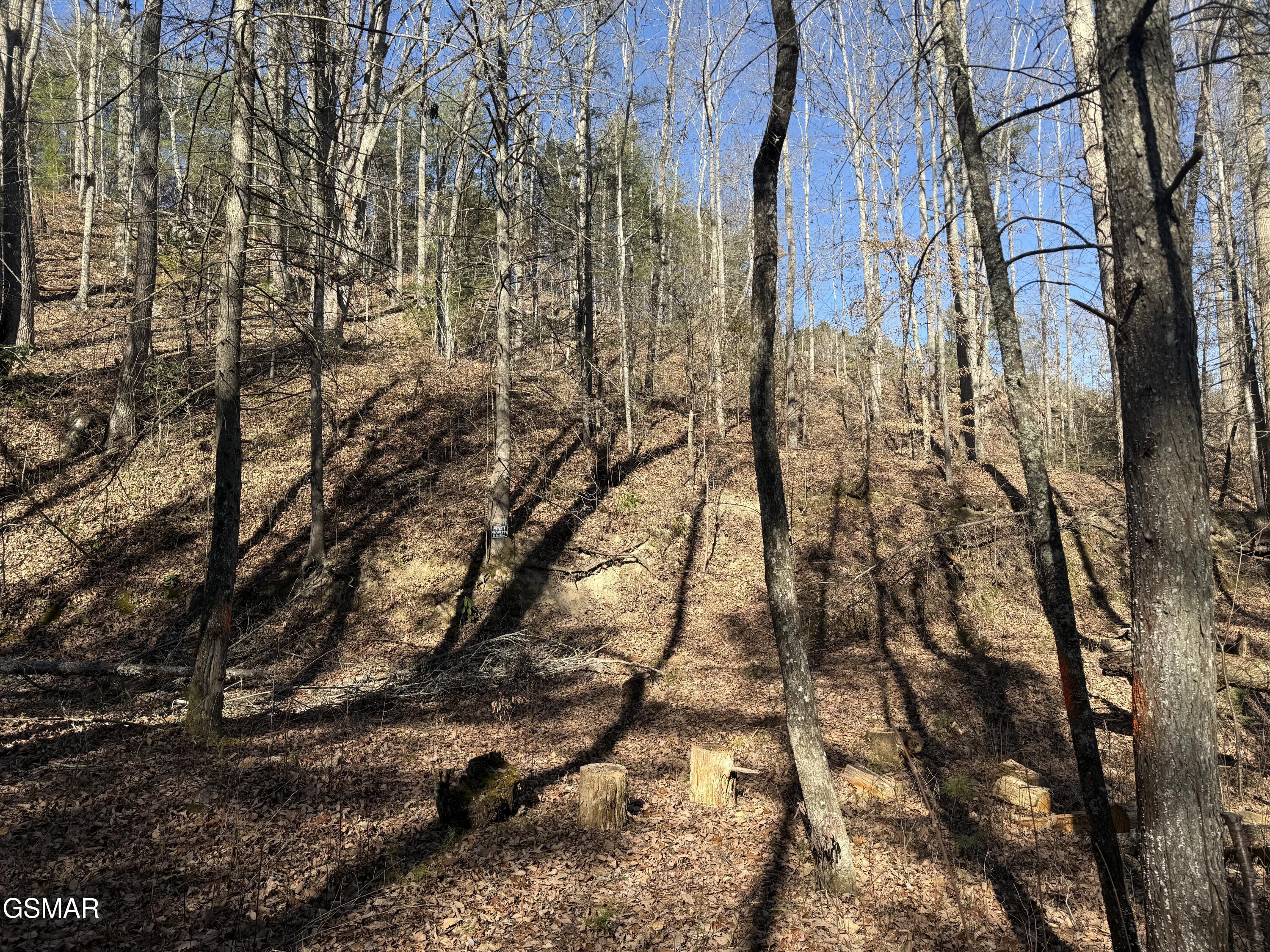 805 Bogard Creek Road Cosby TN 37722
