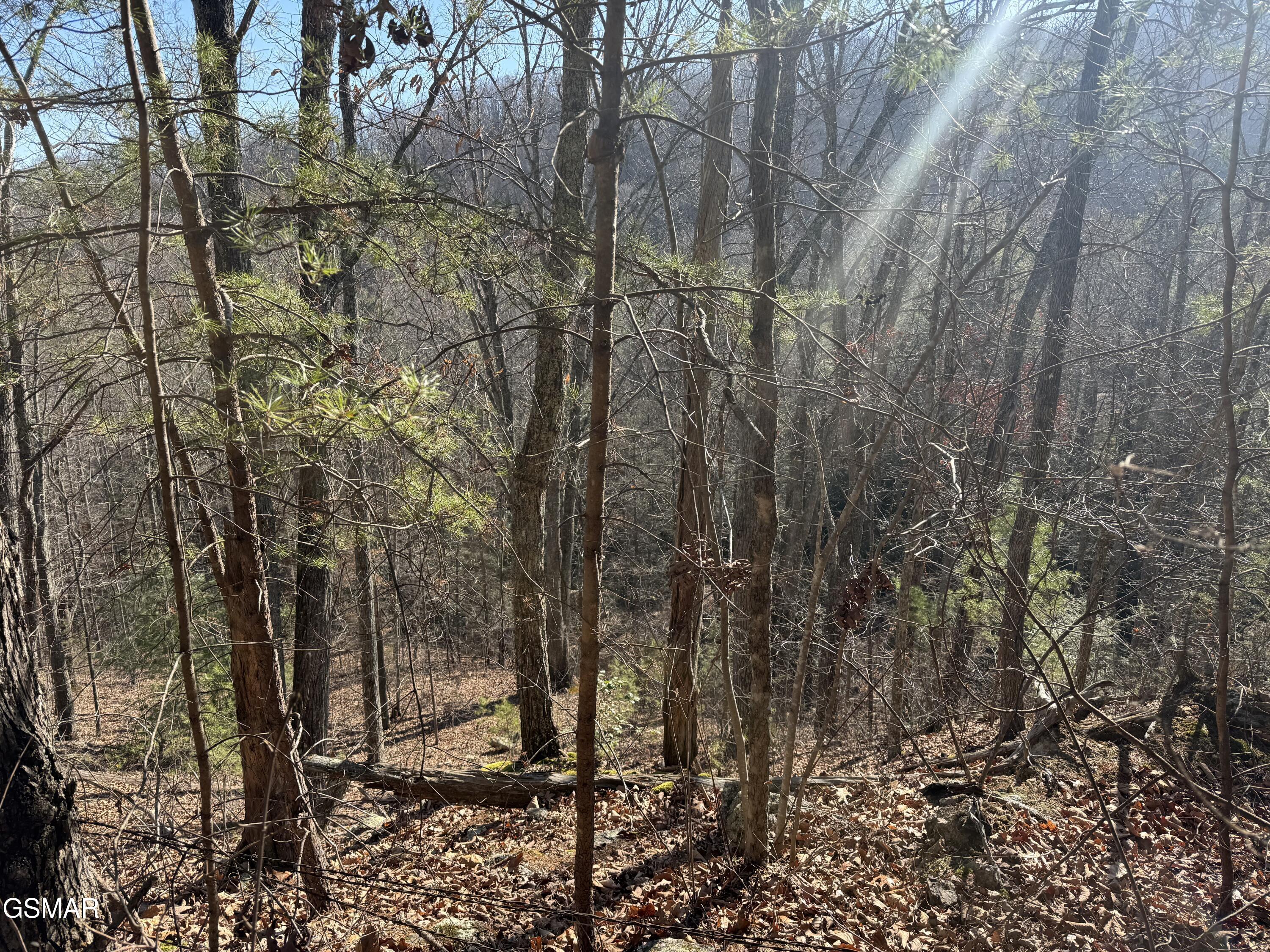 805 Bogard Creek Road Cosby TN 37722
