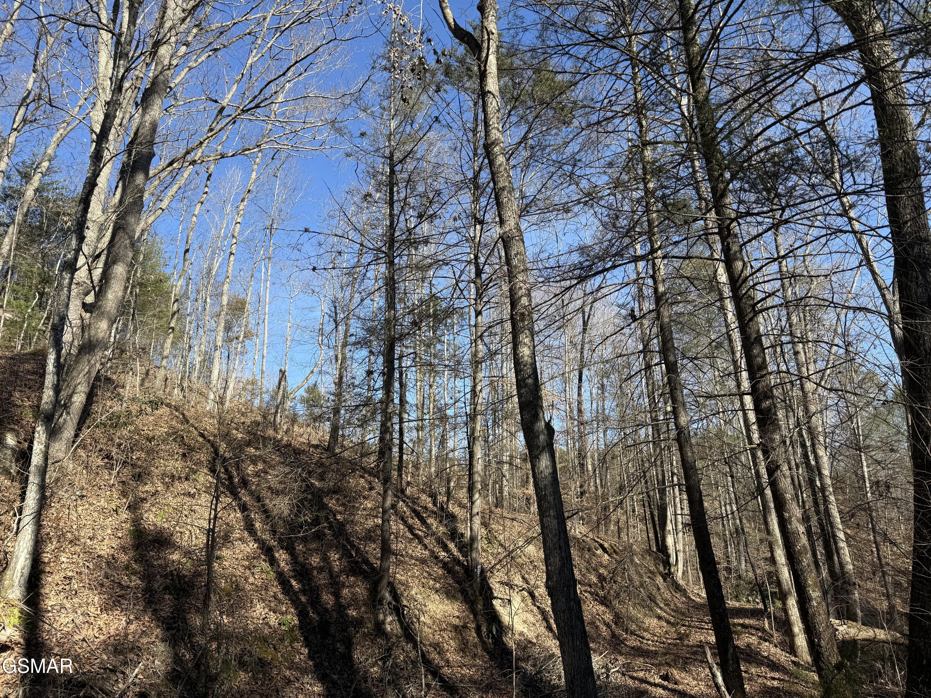 805 Bogard Creek Road Cosby TN 37722