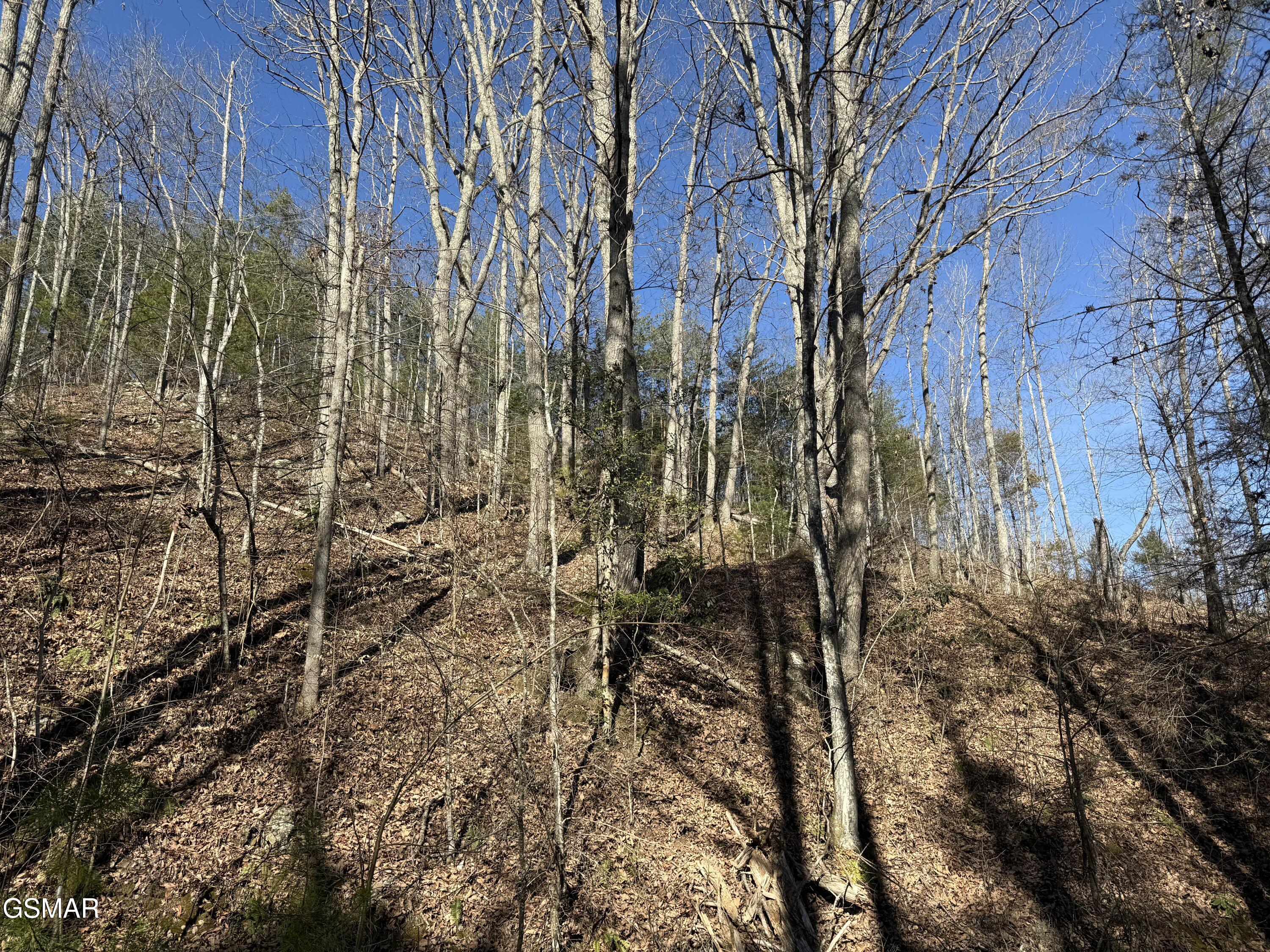805 Bogard Creek Road Cosby TN 37722