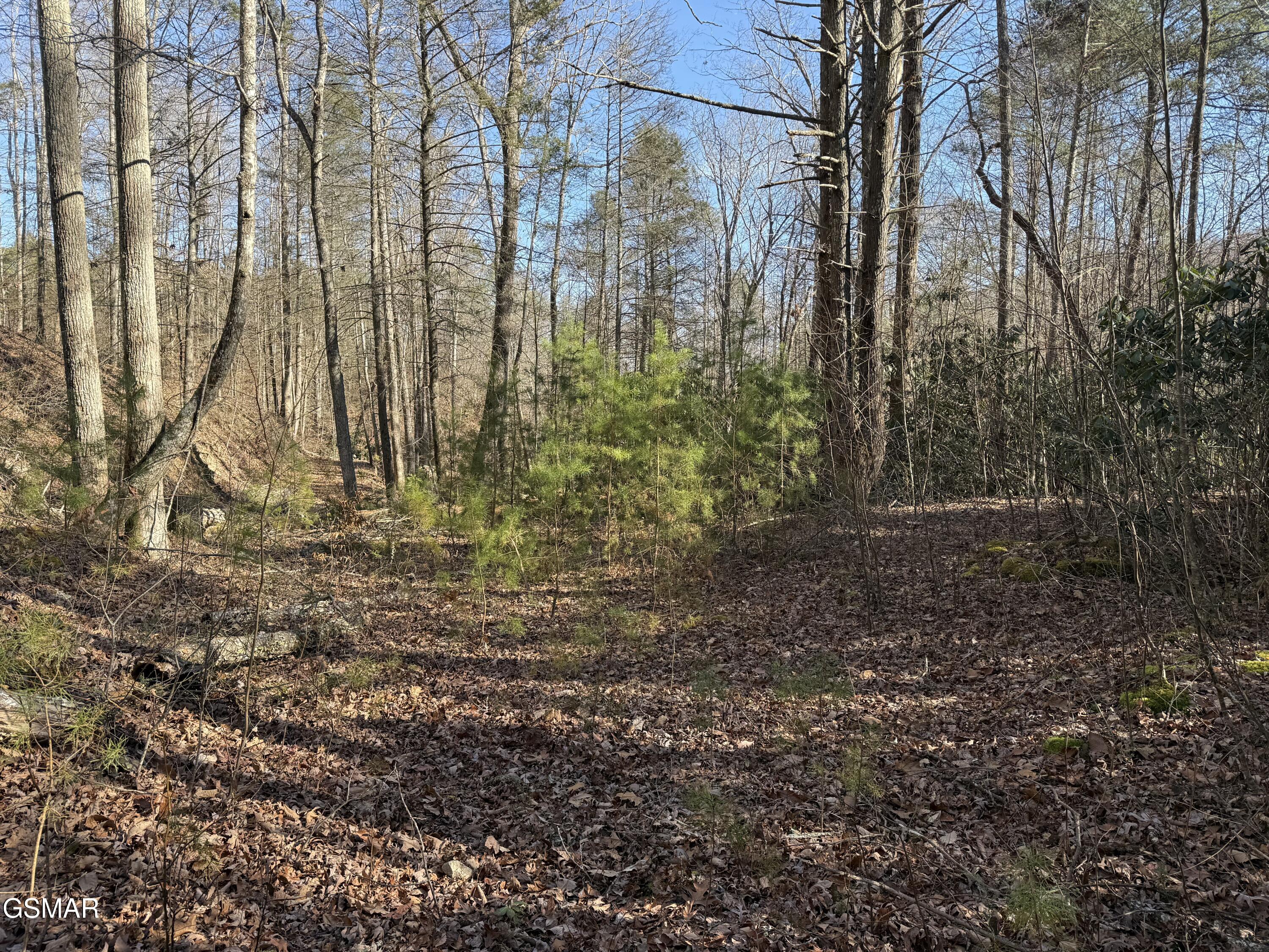 805 Bogard Creek Road Cosby TN 37722
