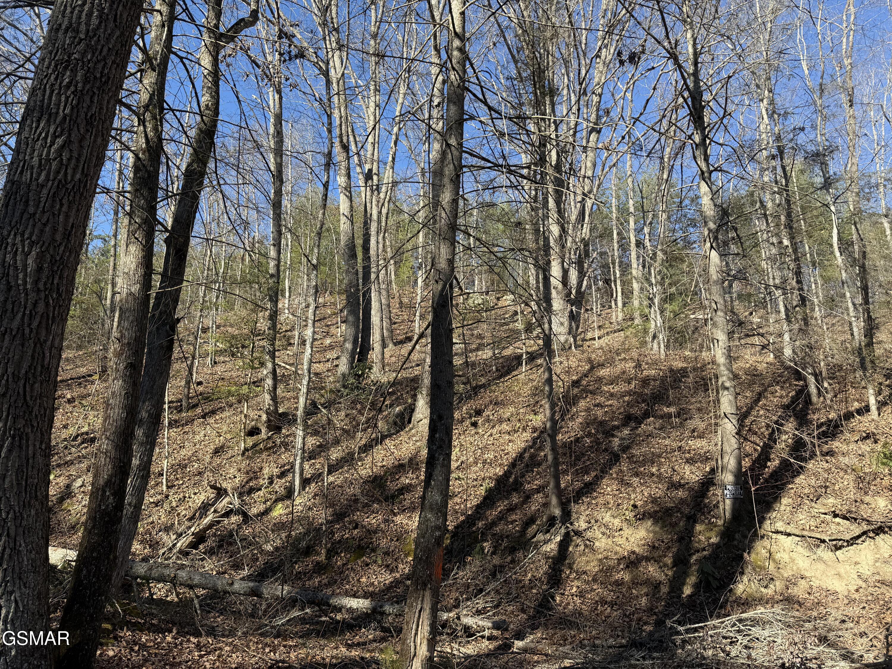 805 Bogard Creek Road Cosby TN 37722