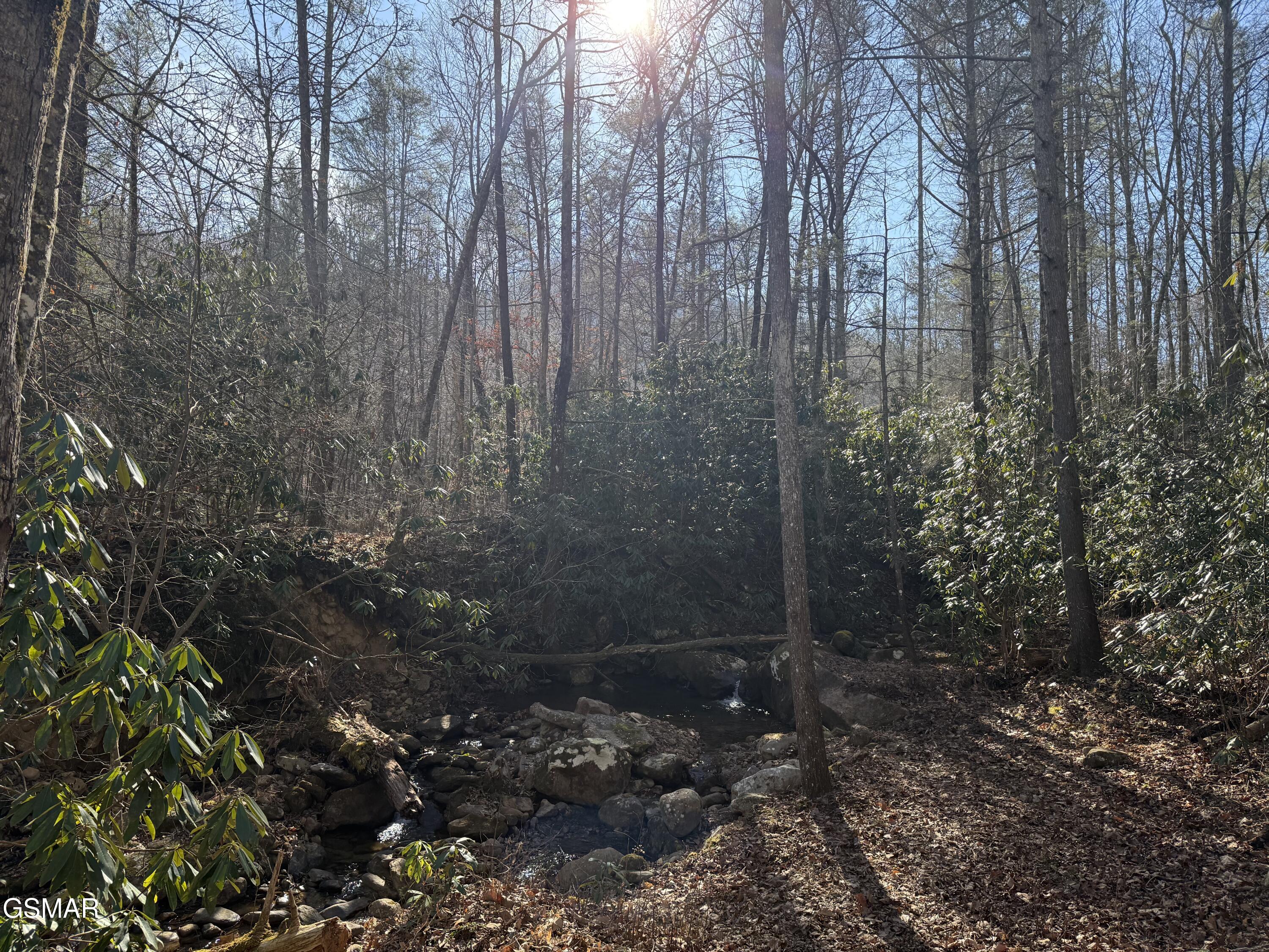 805 Bogard Creek Road Cosby TN 37722