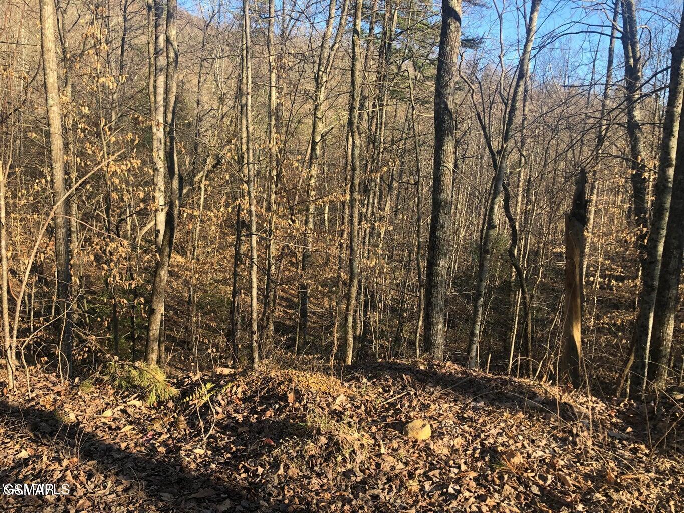 Lot 68 Yellowwood Drive Sevierville TN 37876